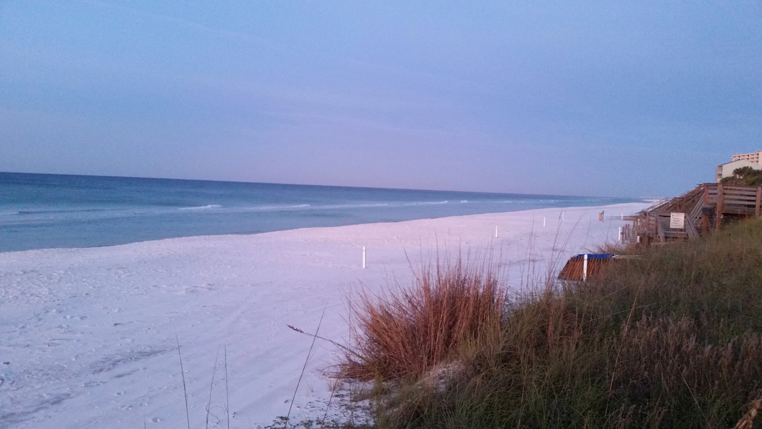 20151124_060334.jpg