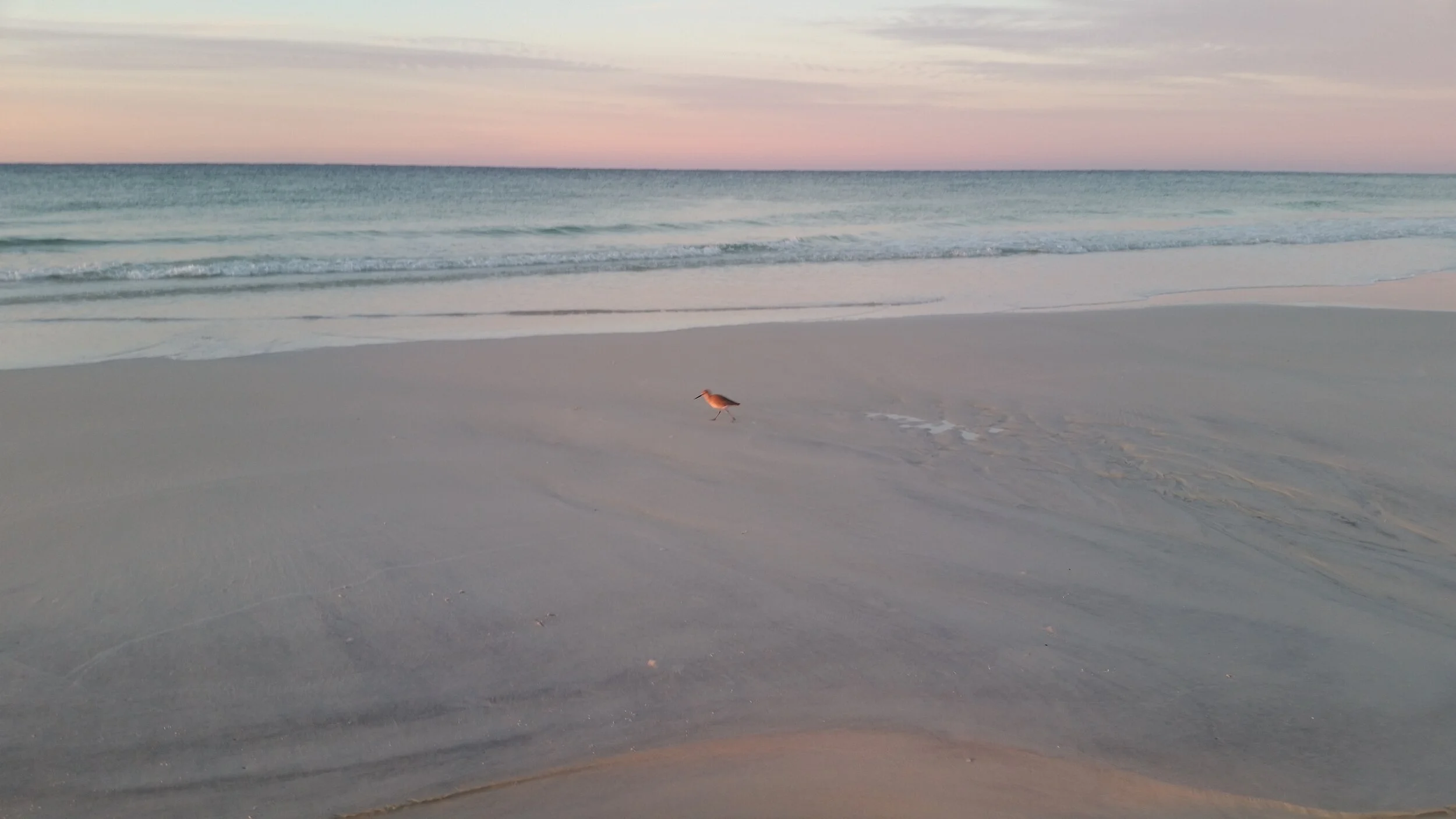 20151124_061935.jpg
