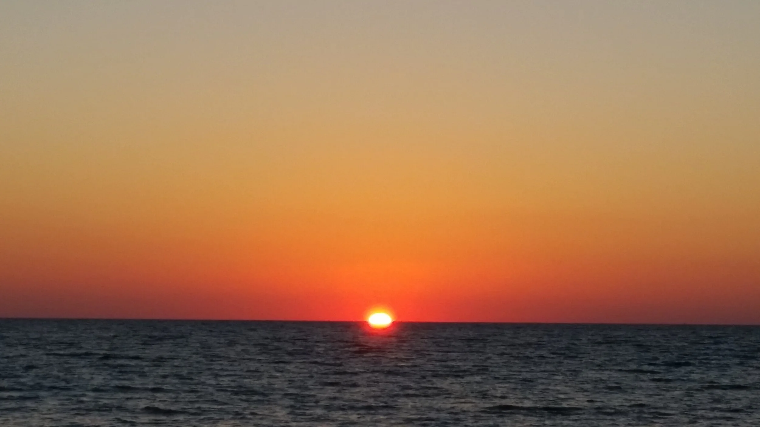 20161116_164623.jpg