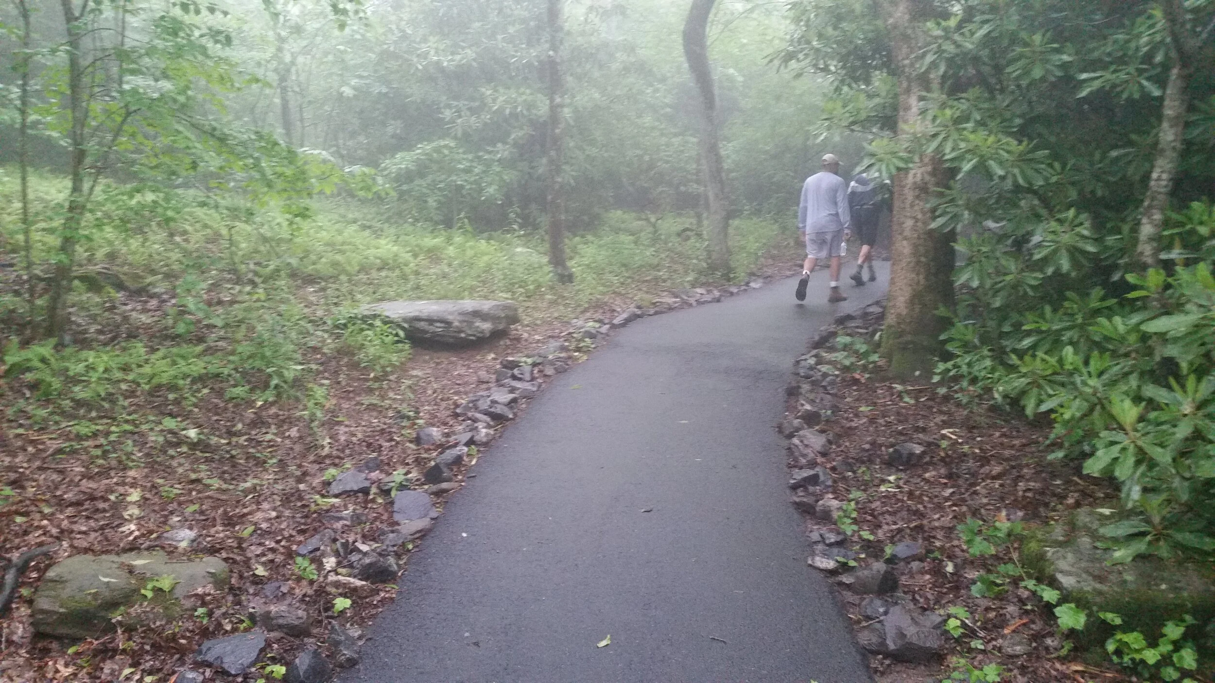20160605_125934.jpg