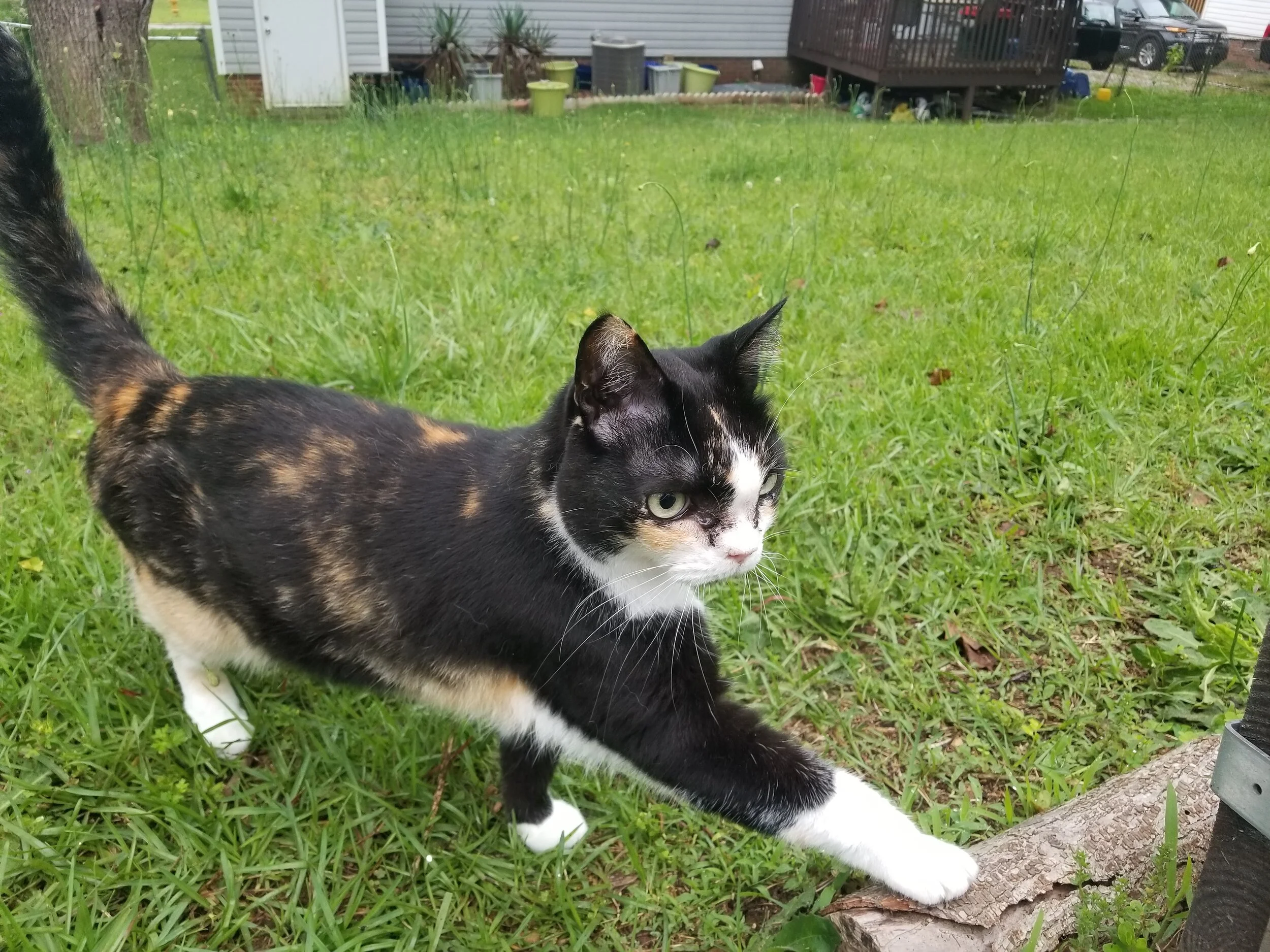 20190511_075205.jpg
