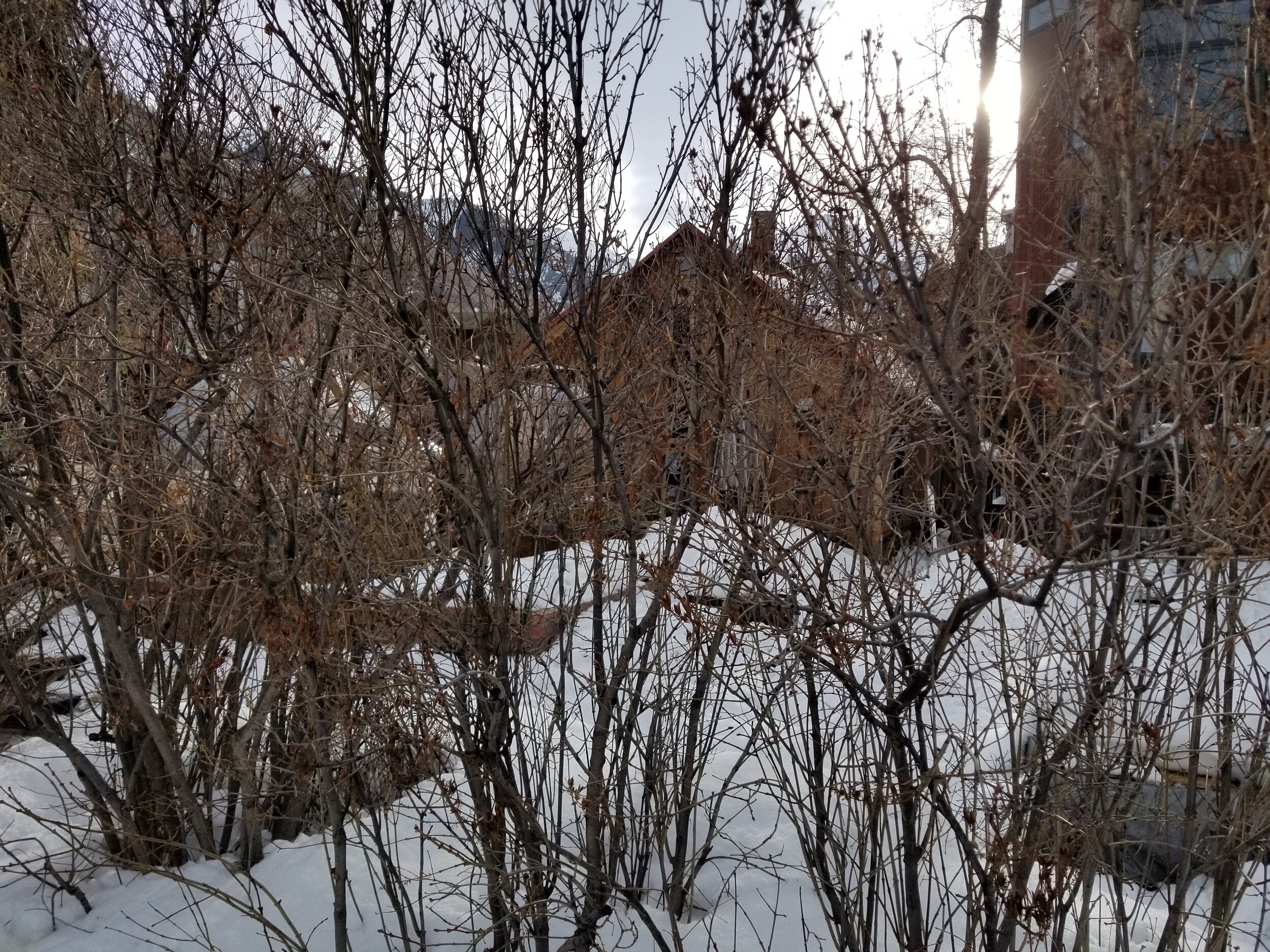 20210320_090034.jpg
