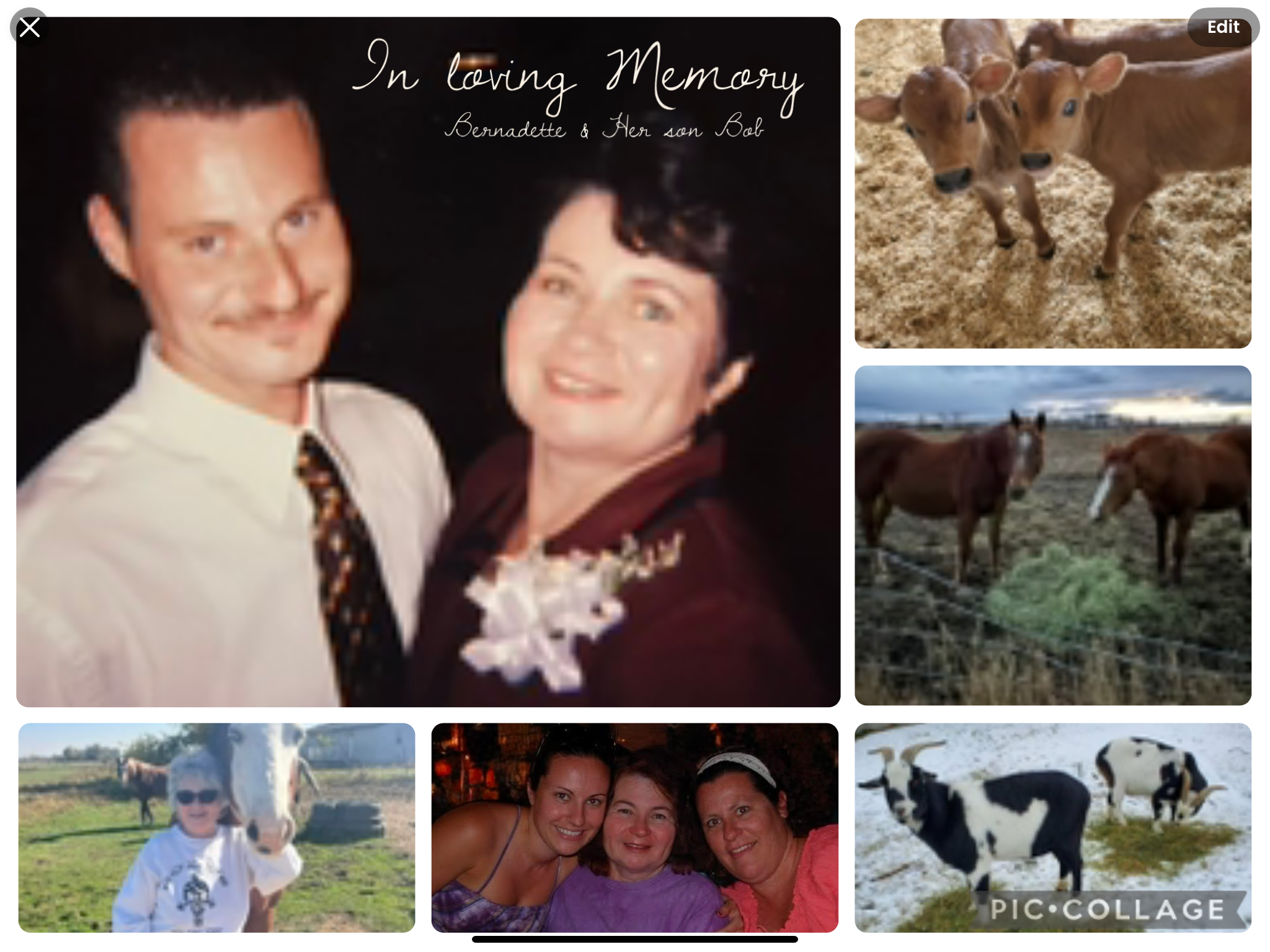 The Quiet Strength of a Daughter — Stepping Into the Life Left Behind