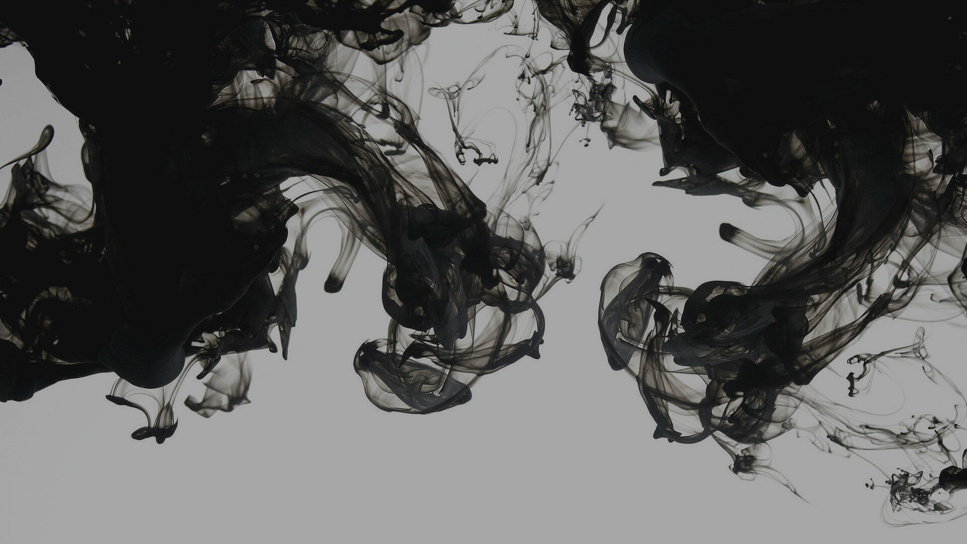 BlackInk-Homepagehero.jpg