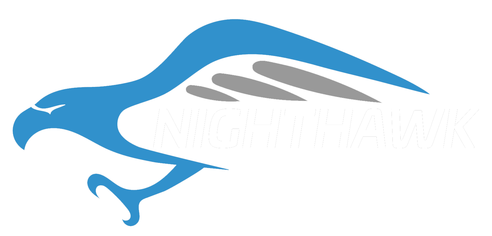 Nighthawk Cyber