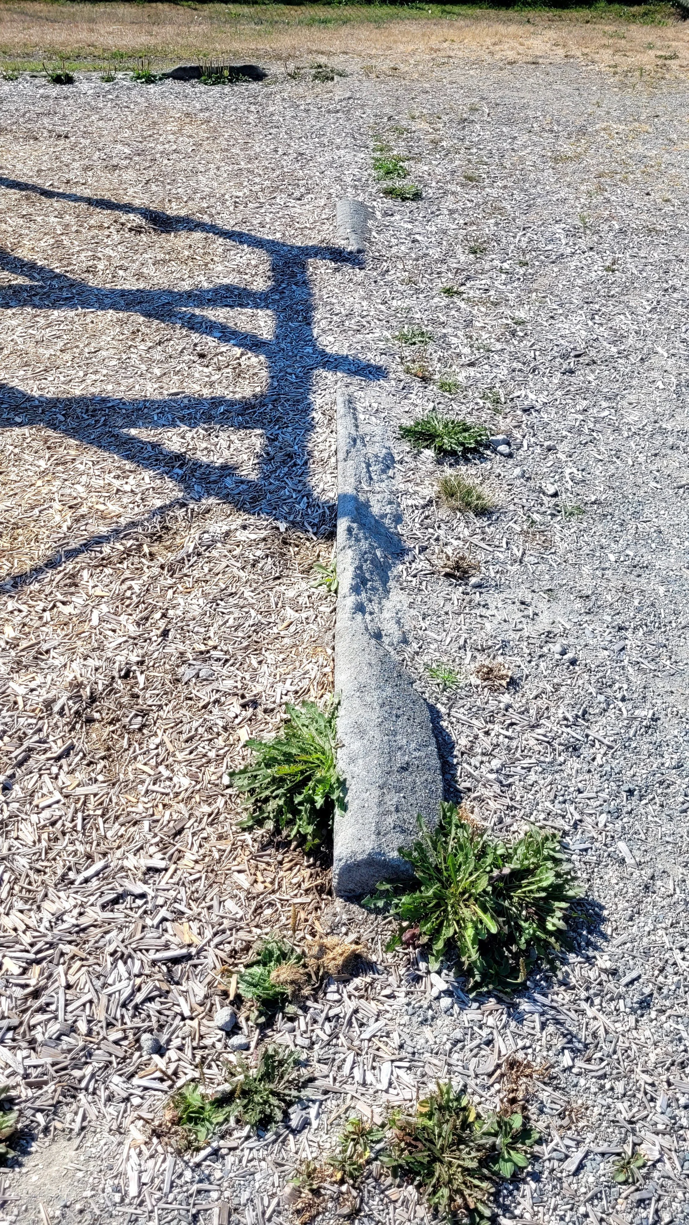 20220825_104747.jpg