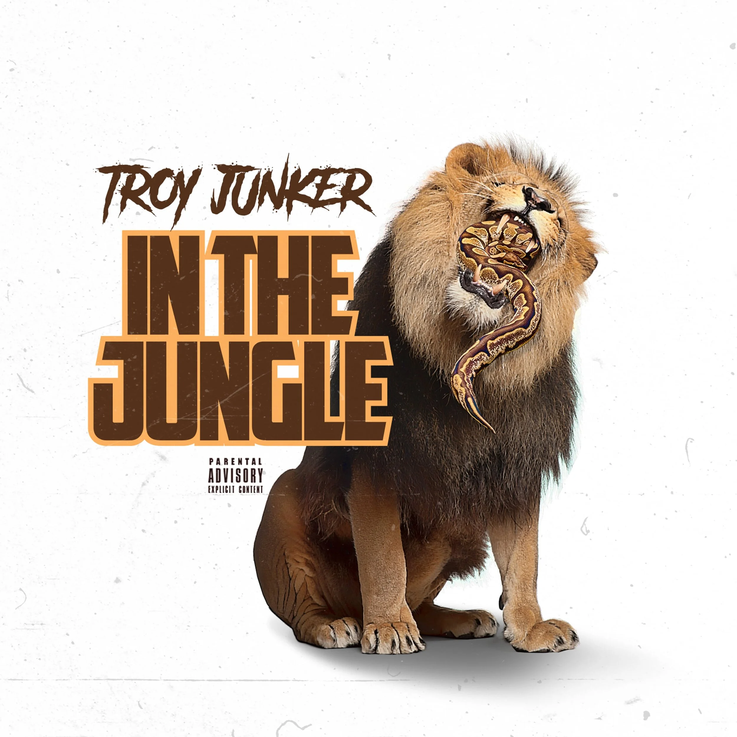 Troy Junker - In The Jungle