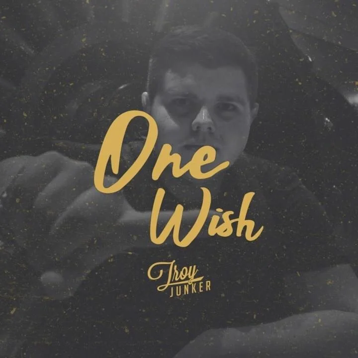 Troy Junker - One Wish