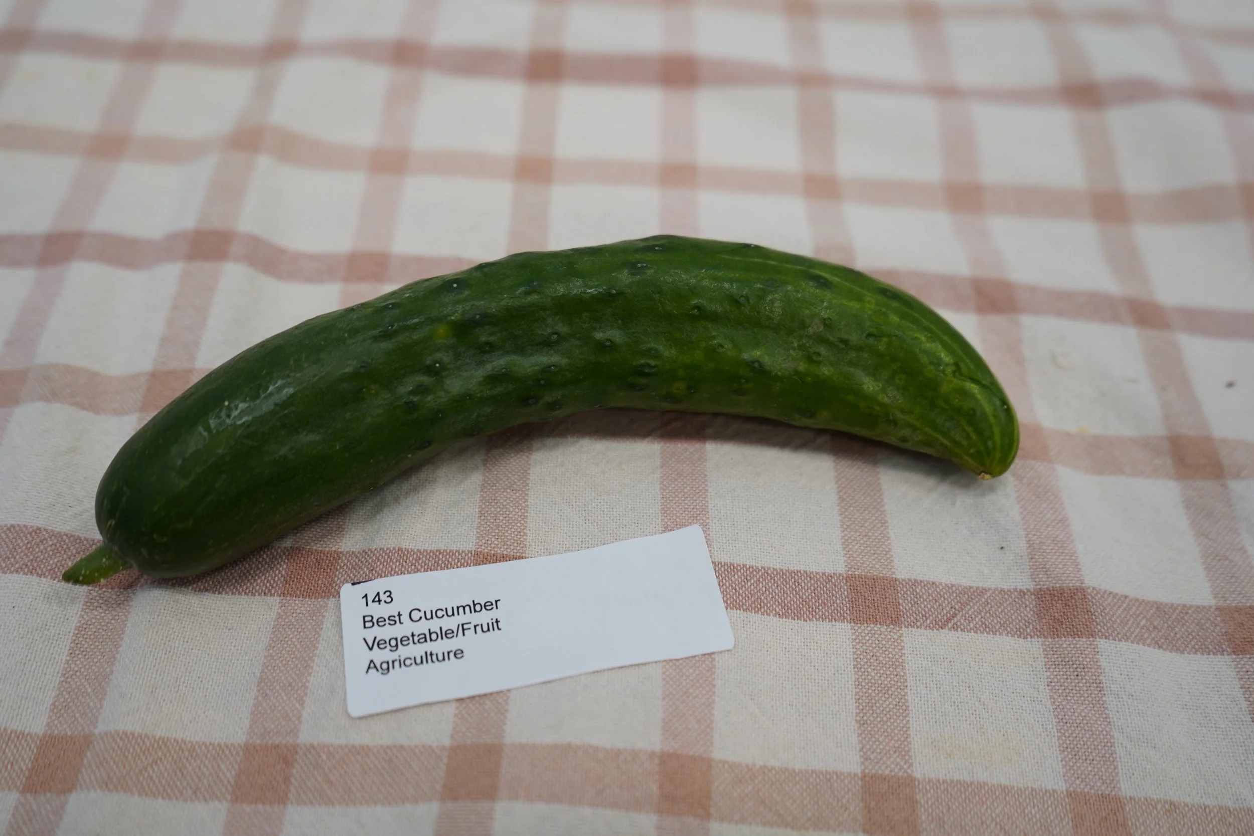Vegetable / Fruit Contests