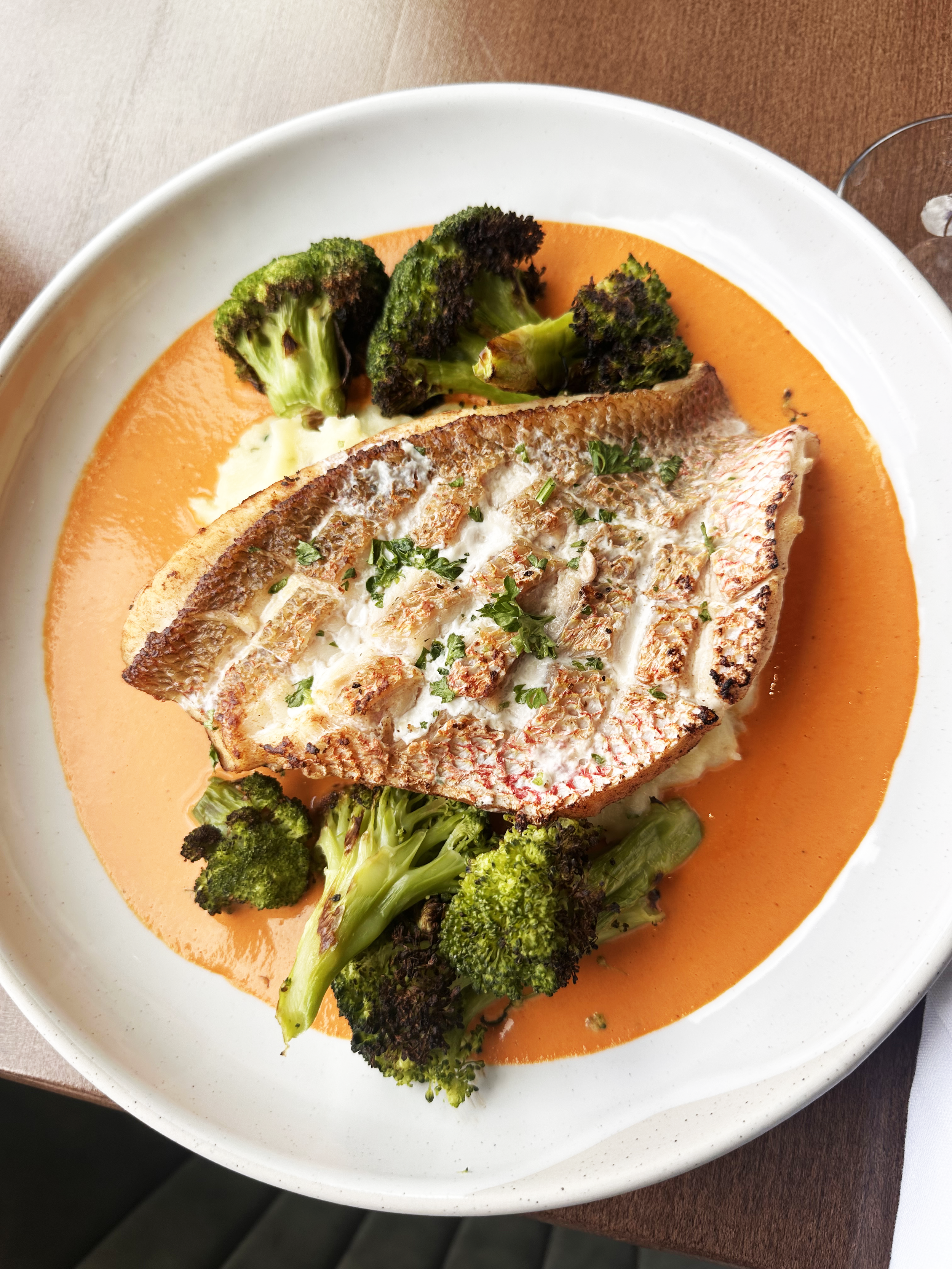 Red Snapper 6.png