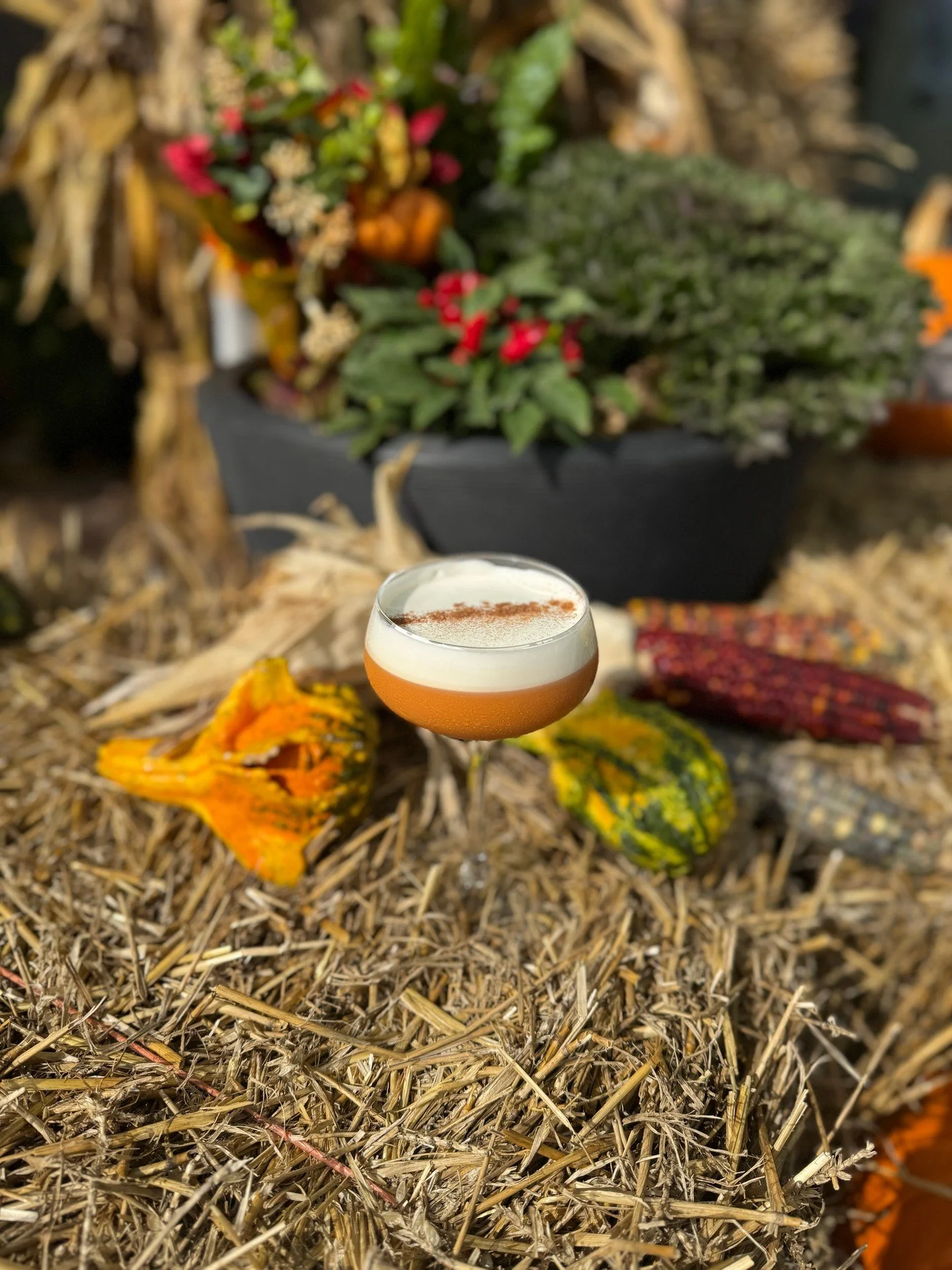 Meet November&rsquo;s Cocktail of the Month: the Pumpkin Spice Martini. 🎃

Vodka, dark rum, pumpkin pur&eacute;e, vanilla, pie spice, and cream - fall flavor, refined.