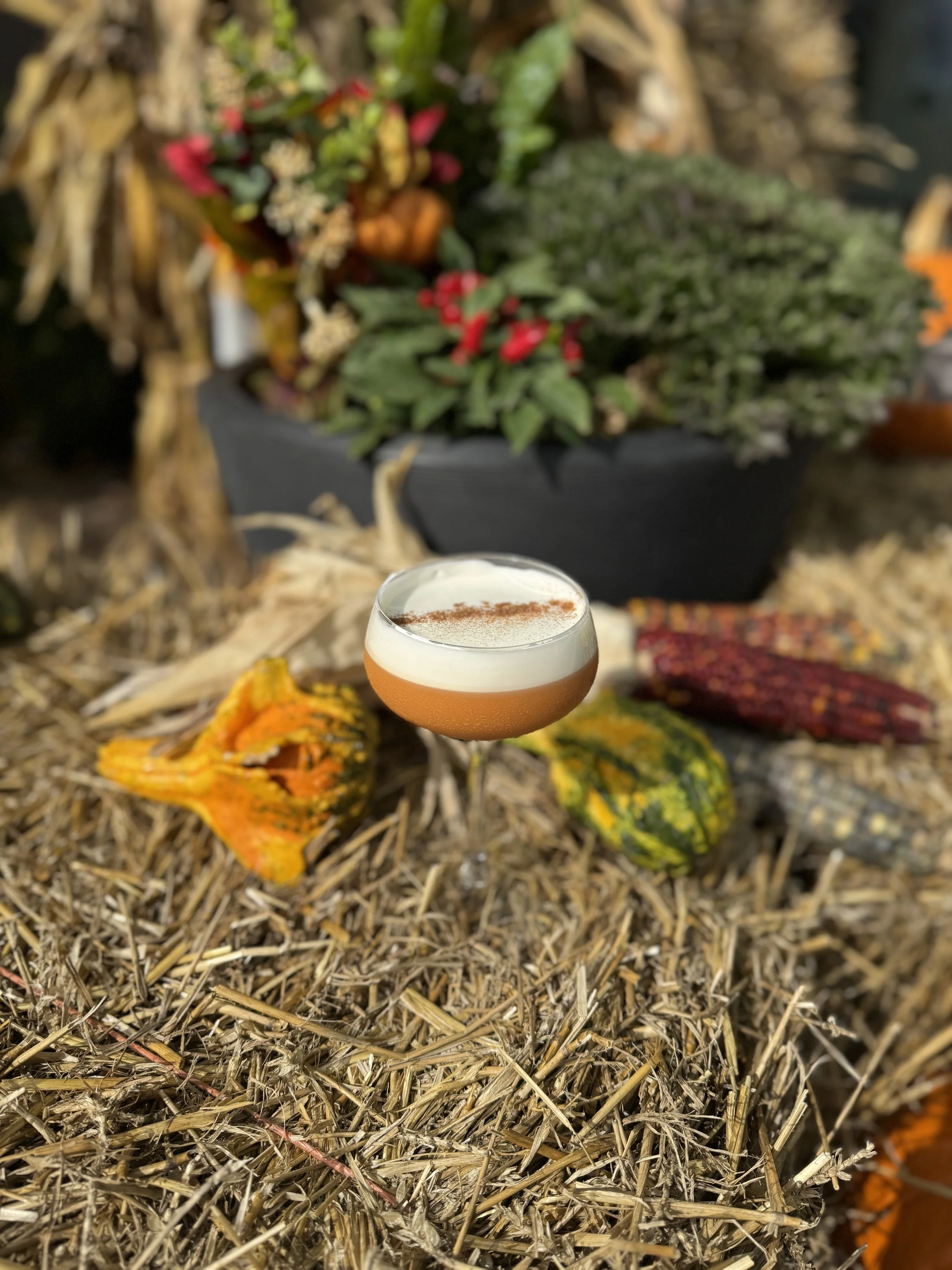 November Cocktail of The Month: Pumpkin Spice Martini