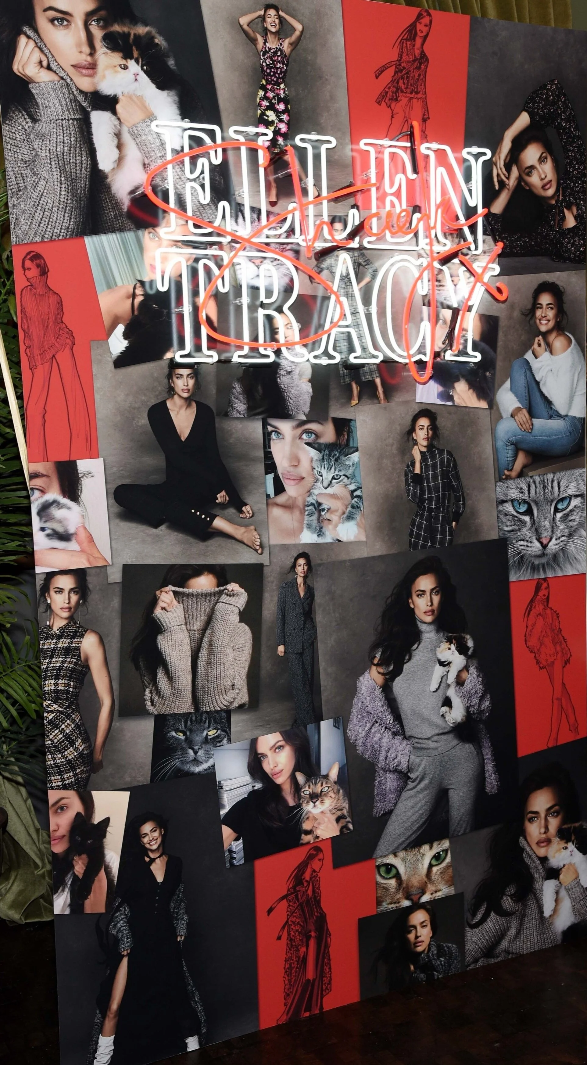 collage photo wall