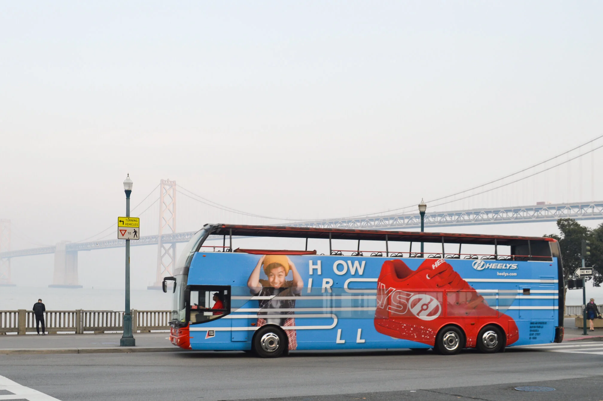 new york, san francisco, orlando