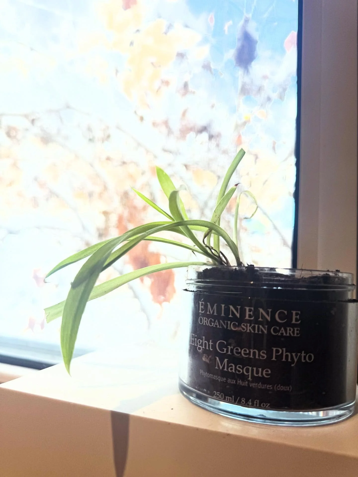 New Year, new spa services🧖&zwj;♀️
have you booked an @eminenceorganics facial this year with @glowingbyzo? 
If not, this is your sign. 🪧
#luxehairwinona #winonamn #winonamnspa