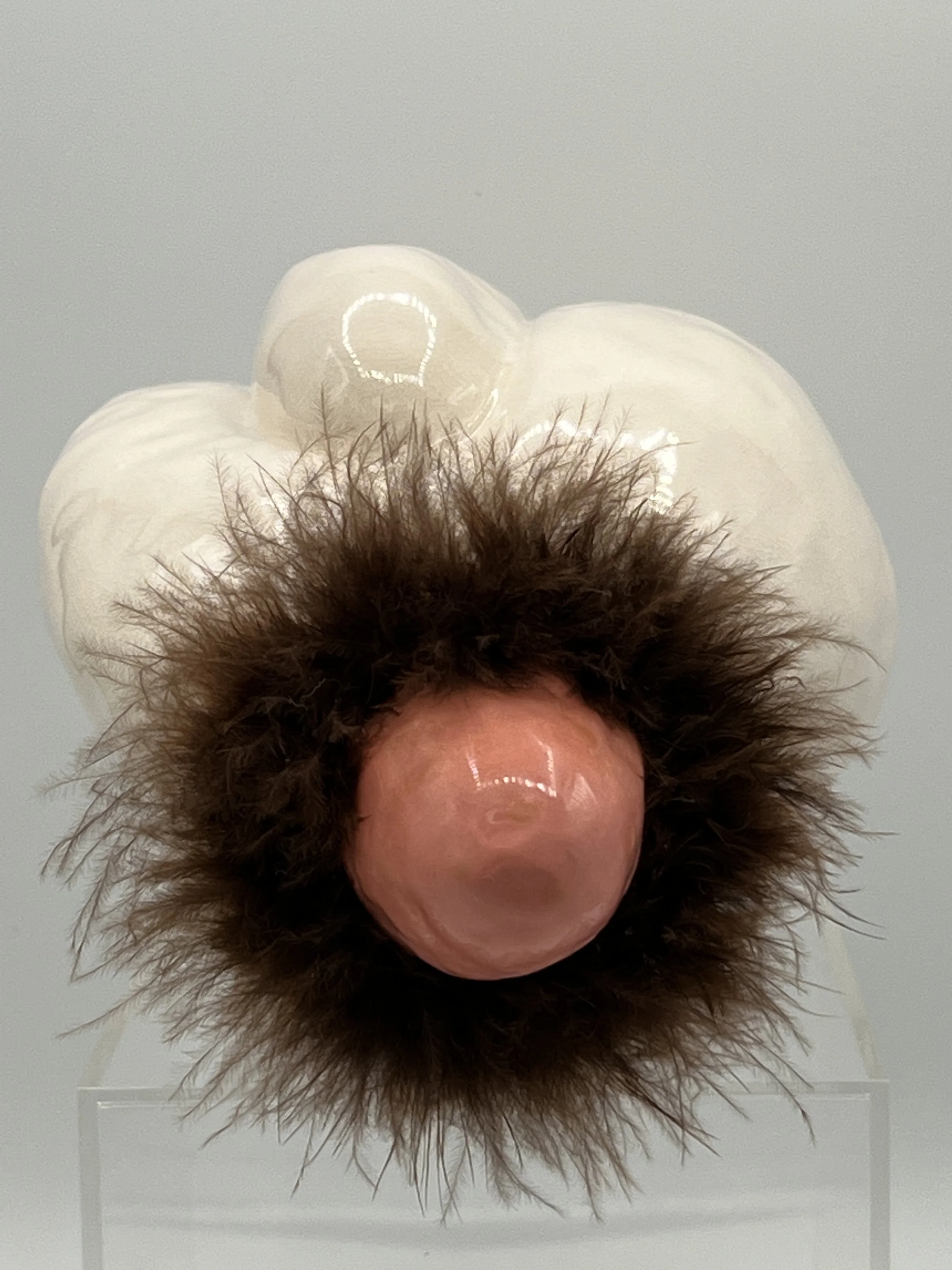 %22Organism %22:Detail.jpeg