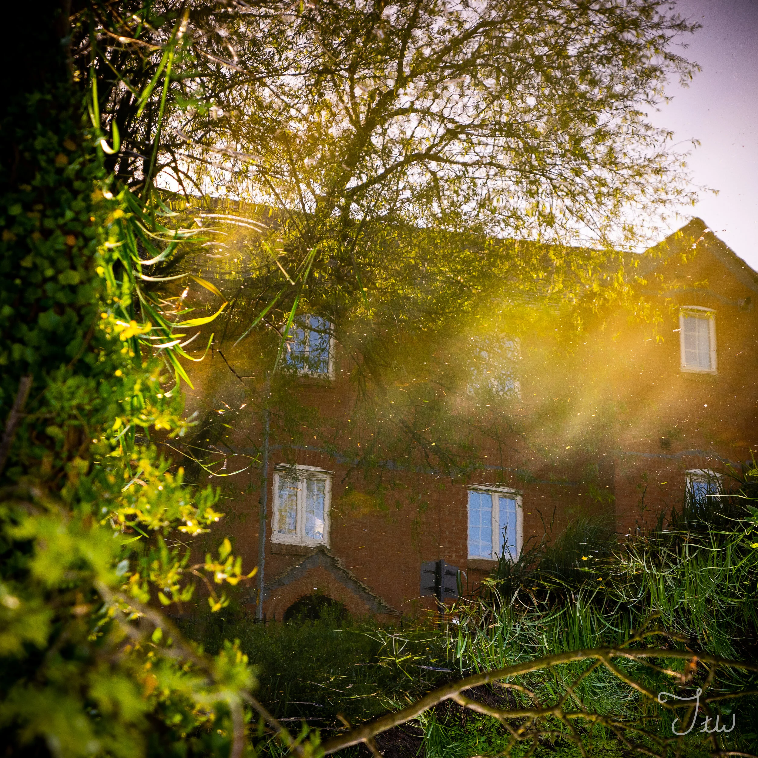 Week 39 - " The Sun is Up"  (30 May 2021)