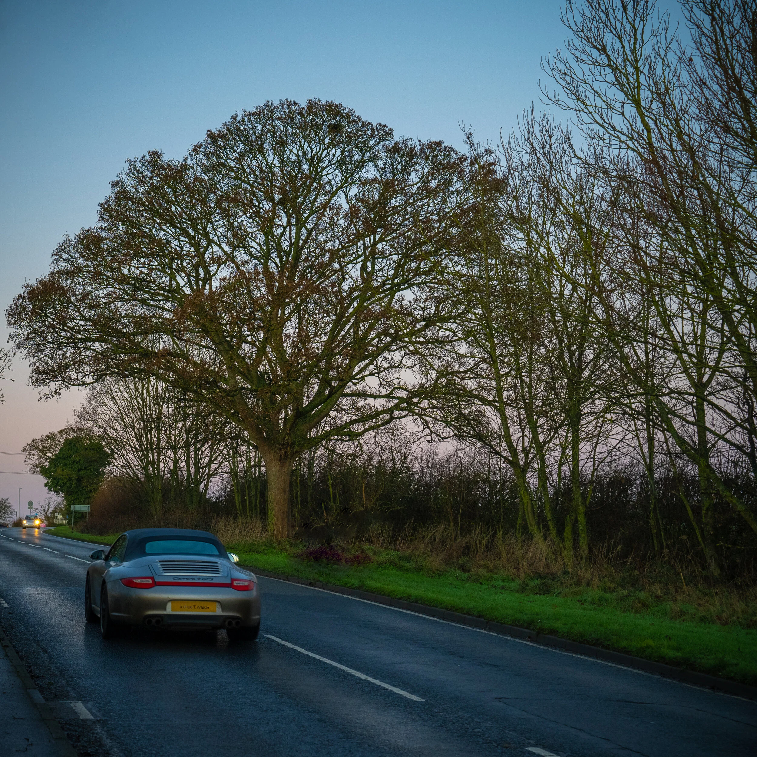 Week 16 - " Porsche  Tree" (20 December  2020)