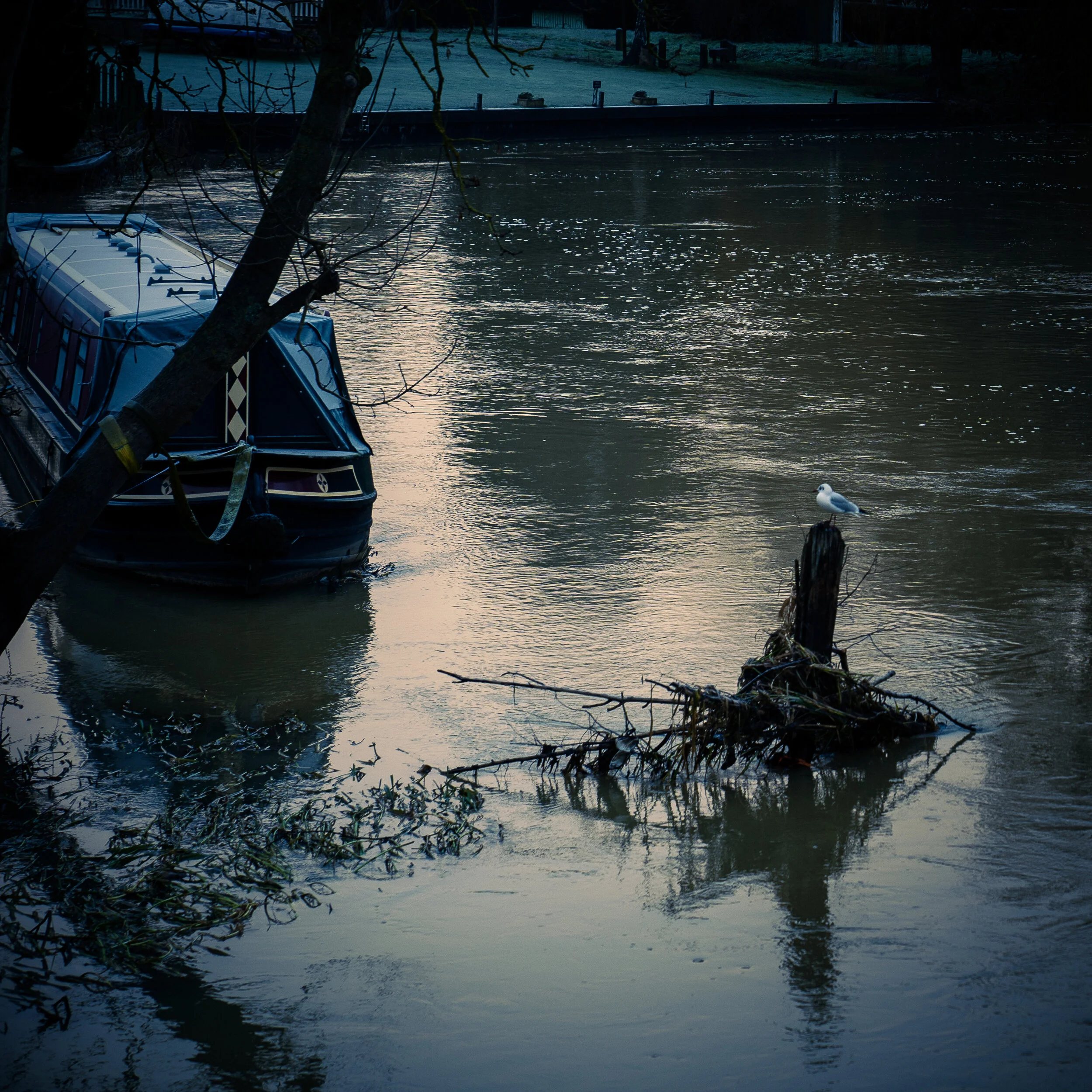Week 18 - "I am watching you"  (3 January 2021)