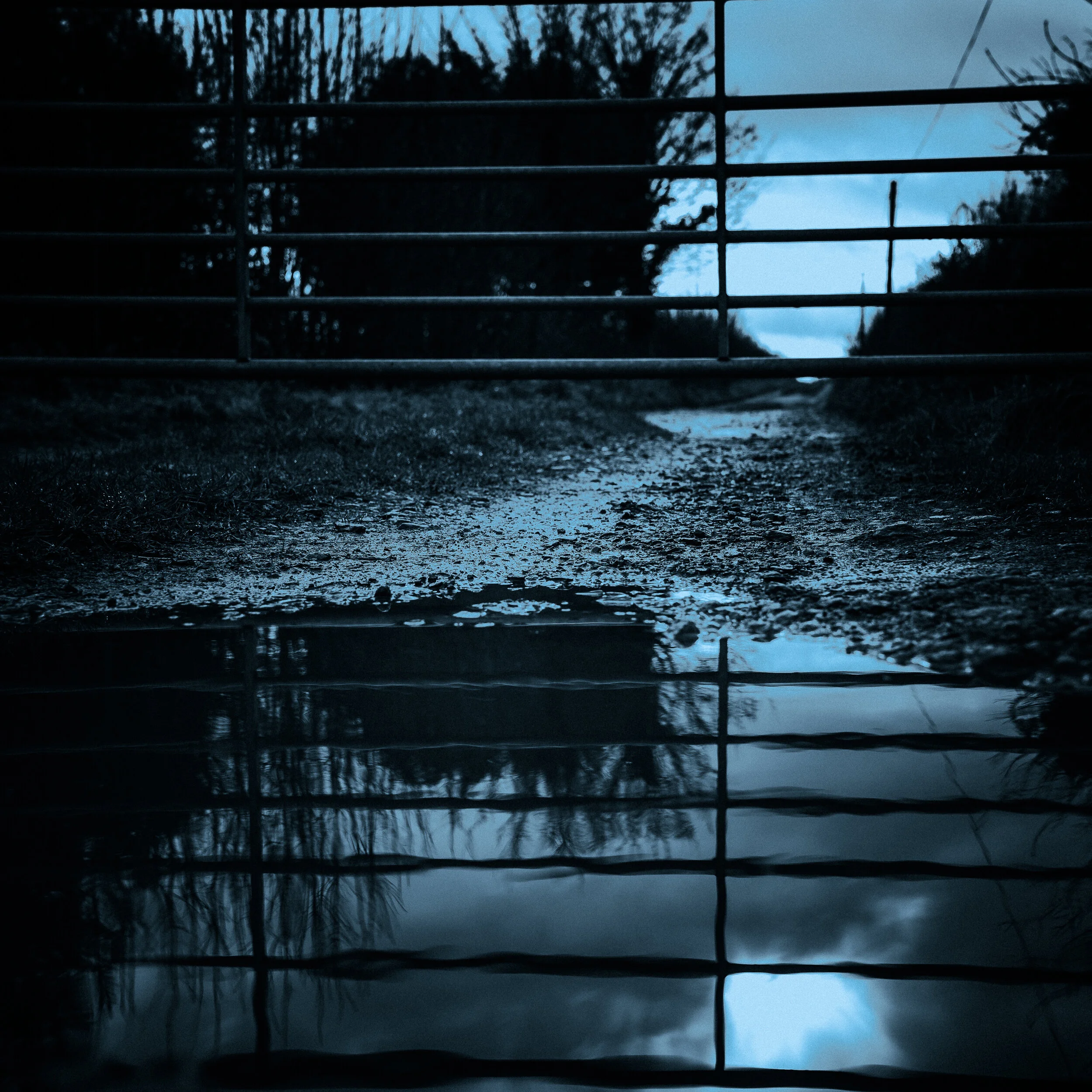  Week 20 - "Lives in a blue world" (17 January 2021)