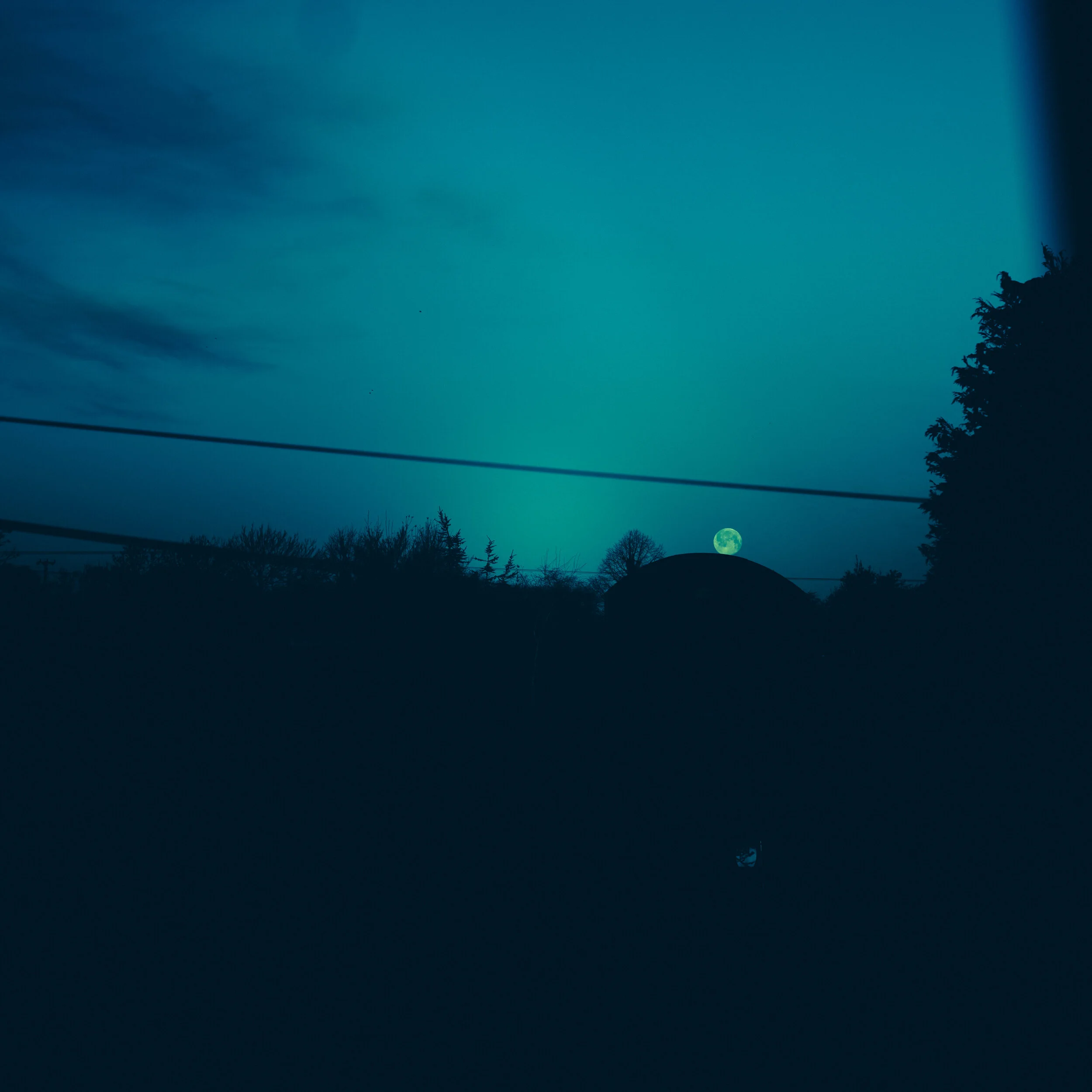 Week 22 - "Moon Peek" (31 January 2021)