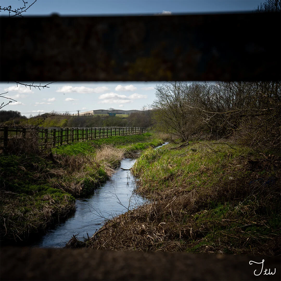 Week 31 -"Stream to Civilization" (4 April 2021)