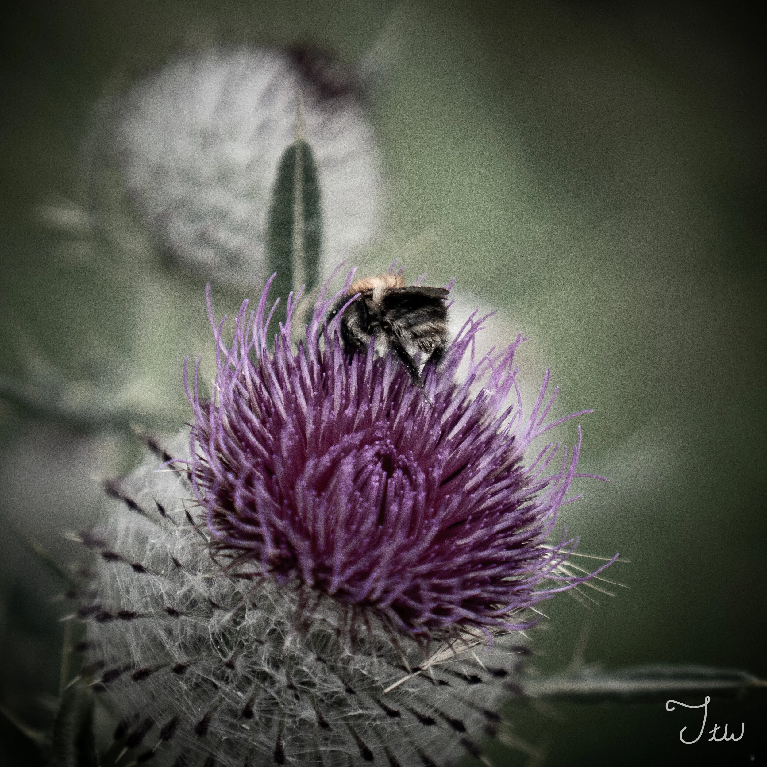 Week 48 - "Busy Life" (01 August 2021)