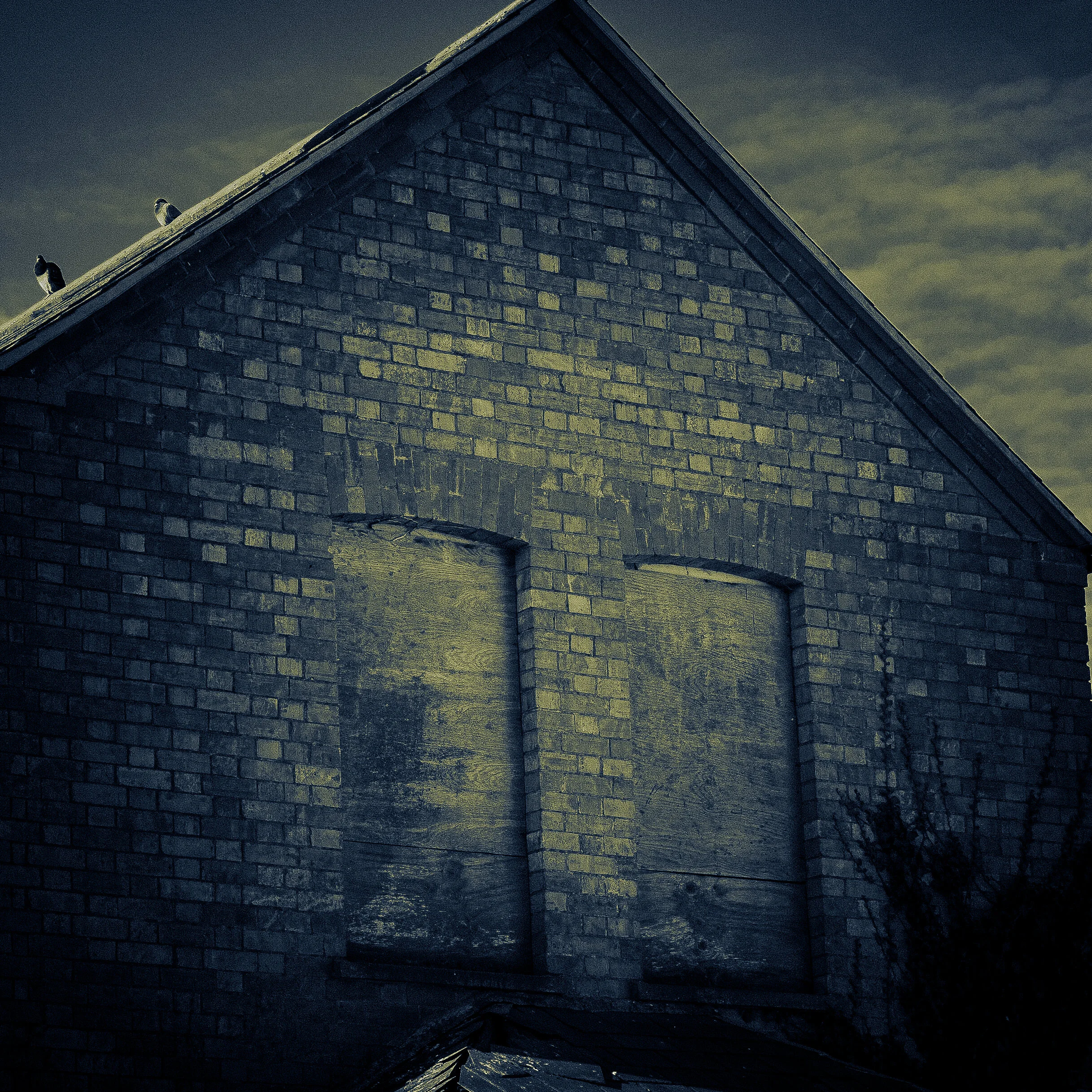 Week 28 - "Board House" (14 March 2021)