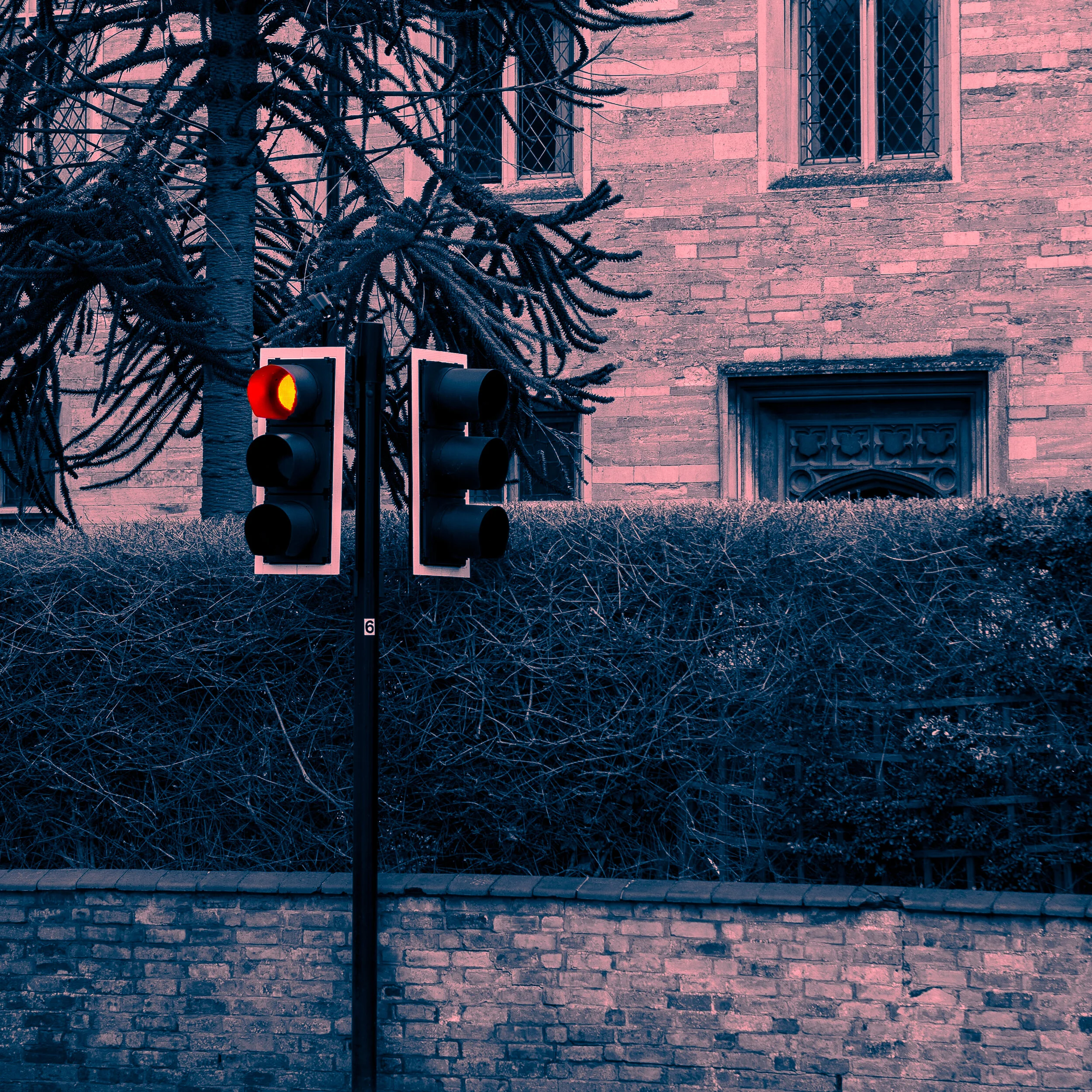 Week 26 - "Traffic Red"  (28 February 2021)