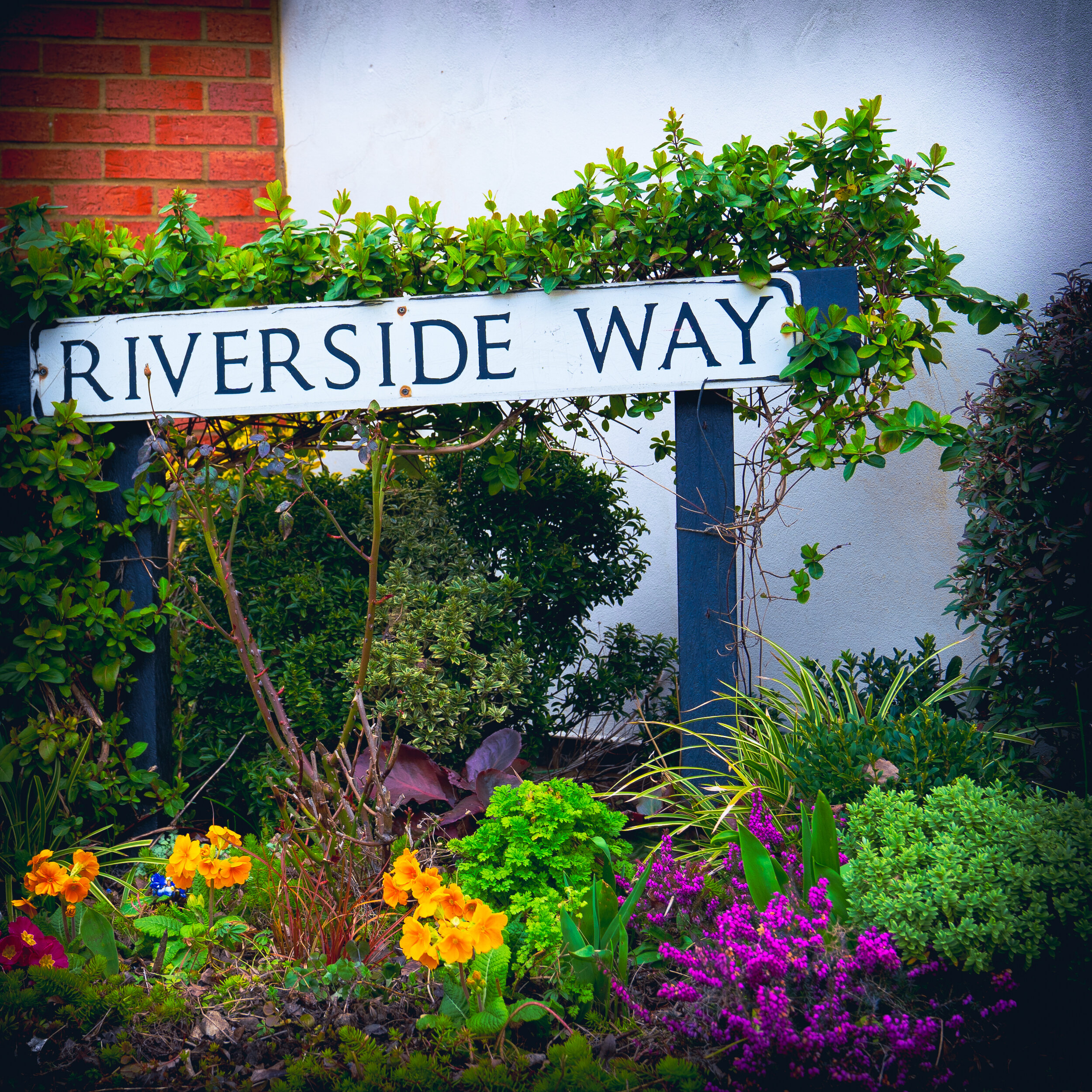 Week 27 - "Riverside" (7 March 2021)