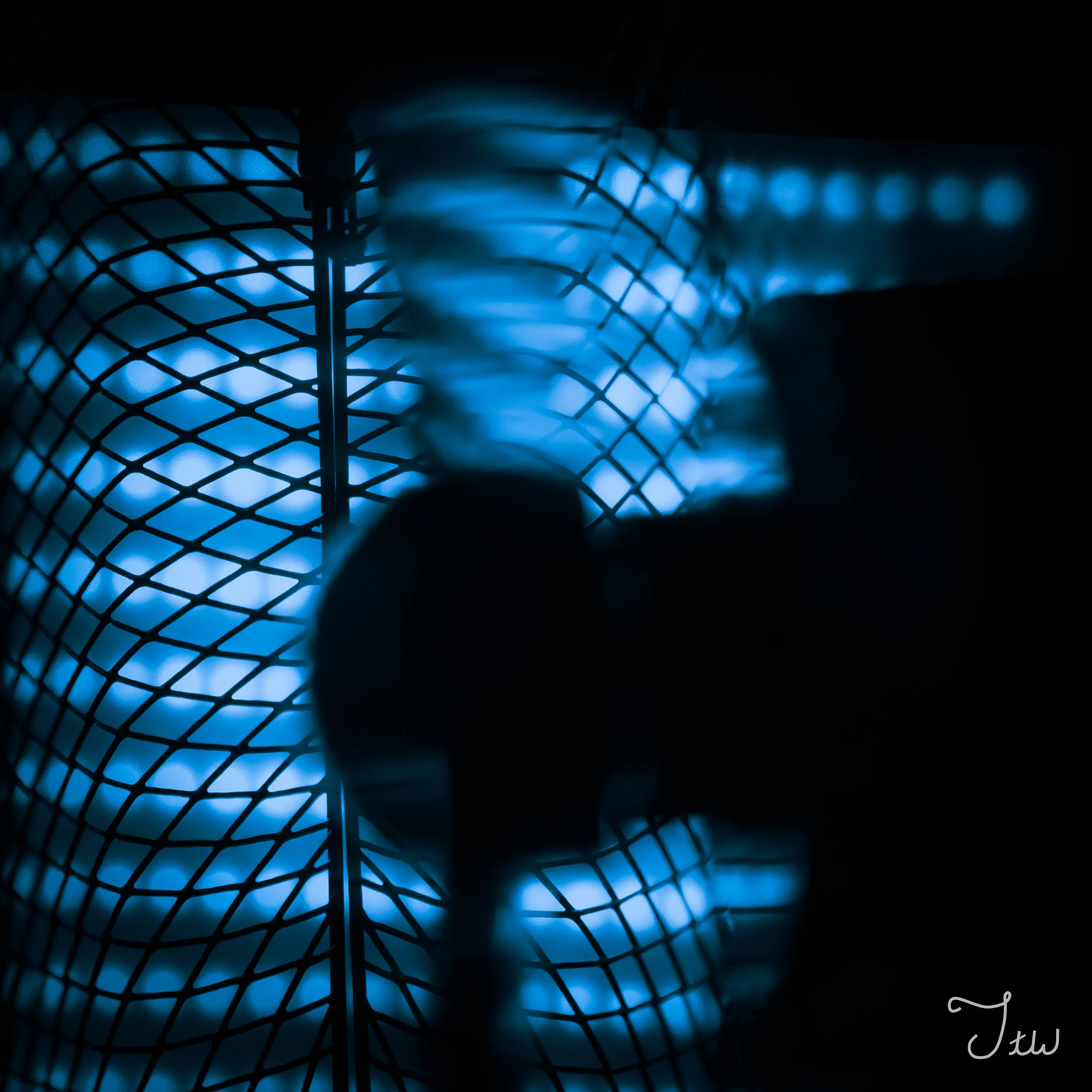 Week 47 - "My Friend This week" (25 July 2021)
