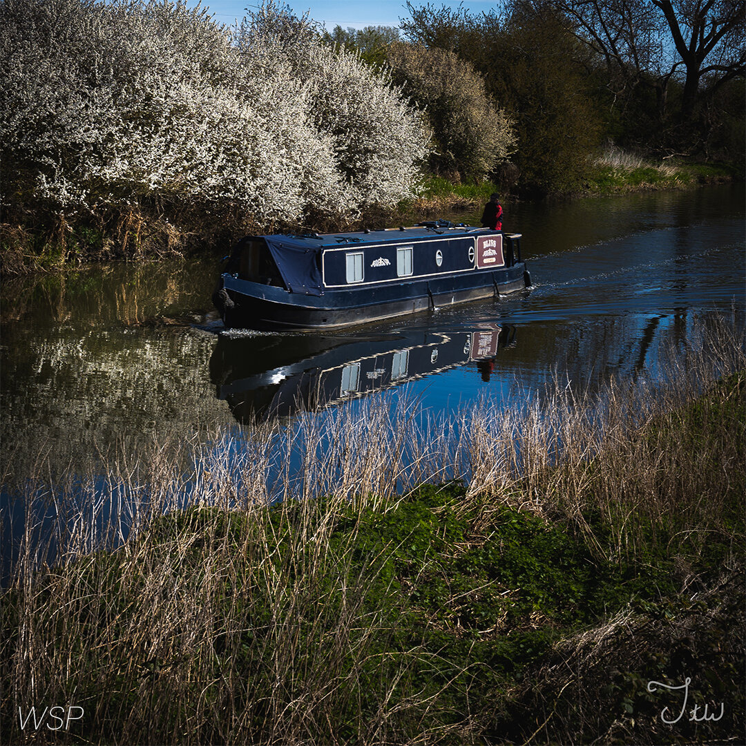 Week 33 - "River Life" (18 April 2021)
