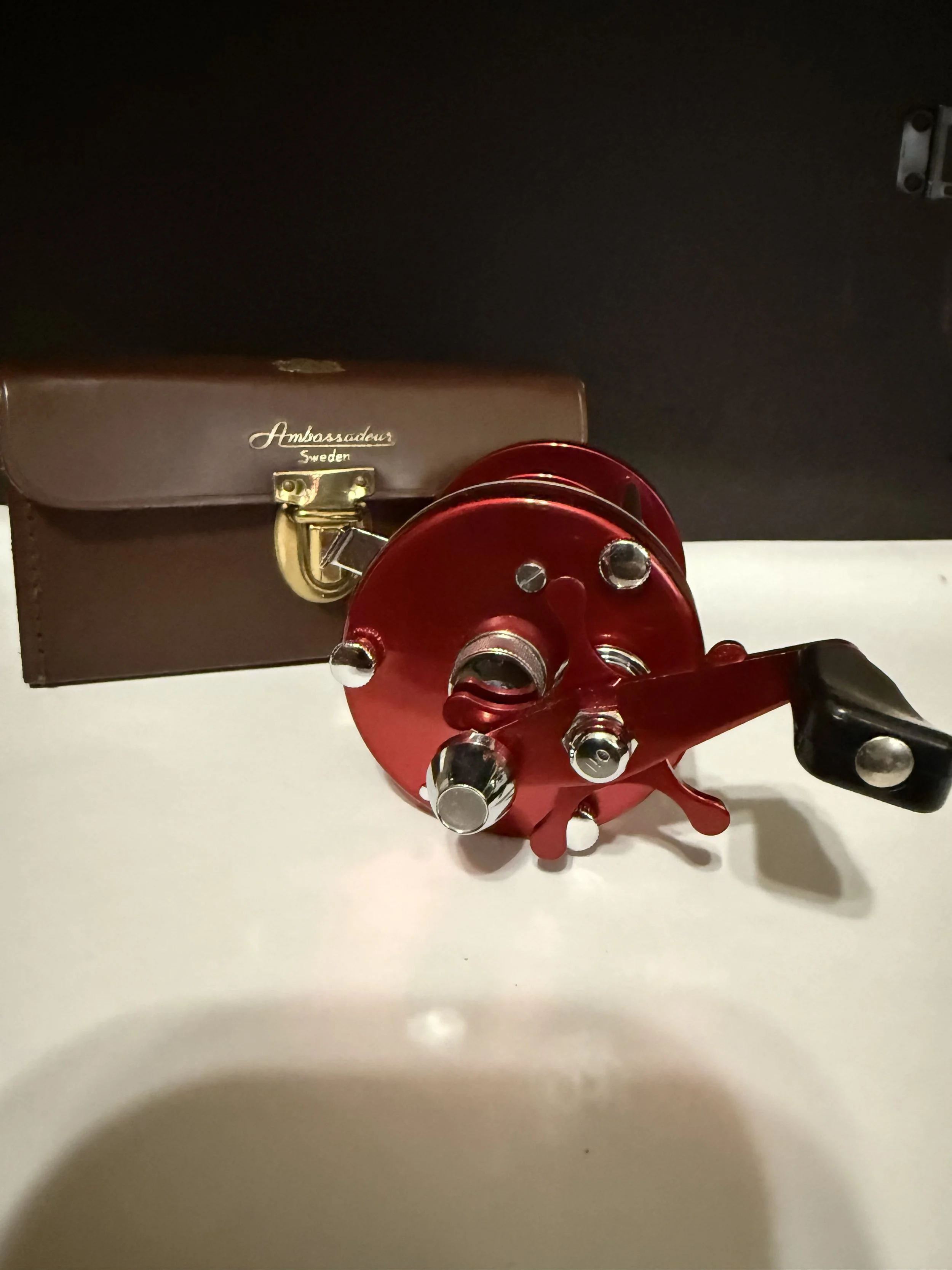 IMG_6973.jpeg