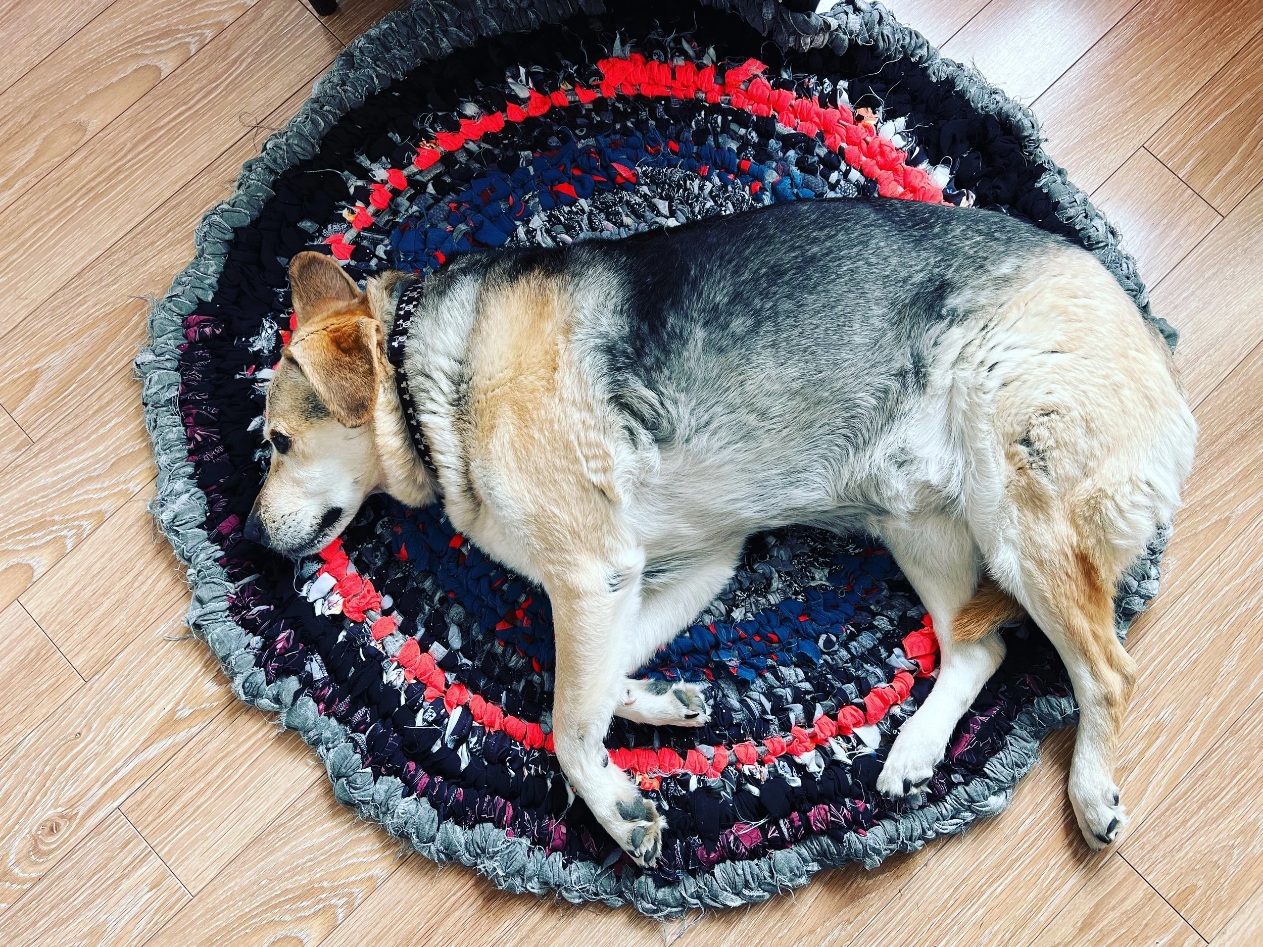 Rag Rugs Tutorial — Crafting Communities