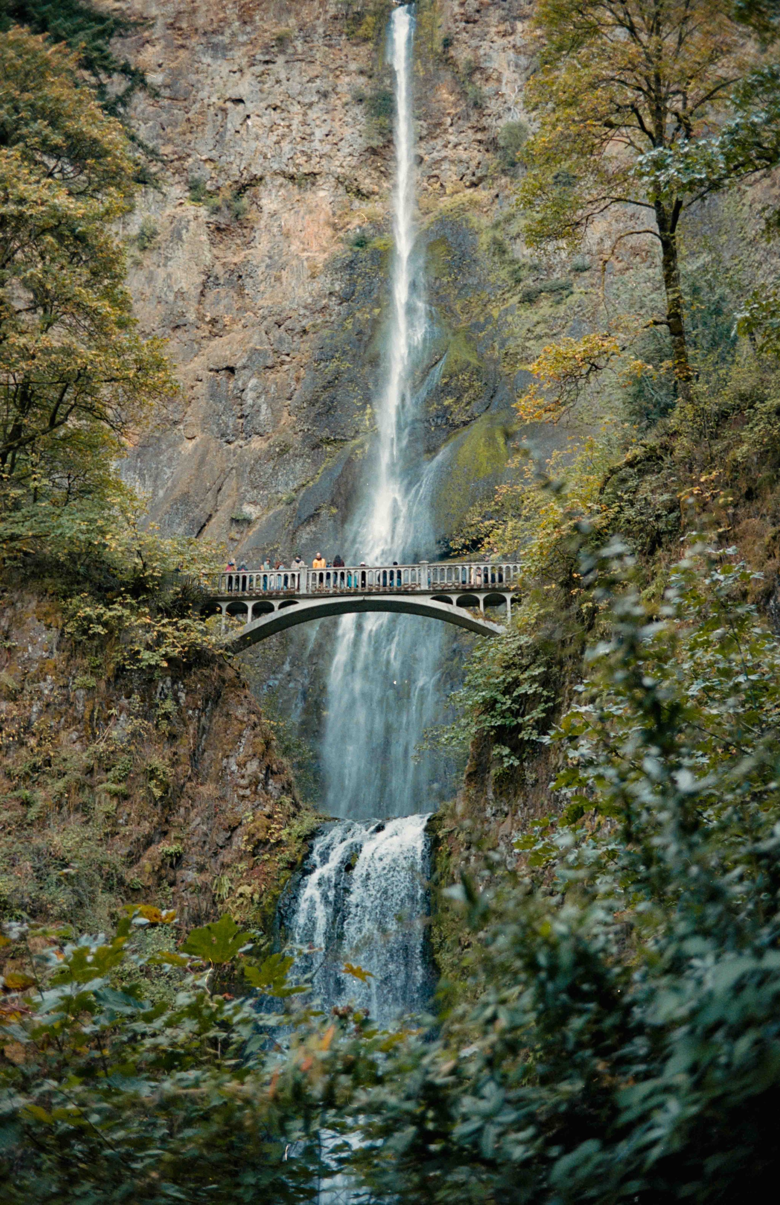 pnwbts--56.jpg