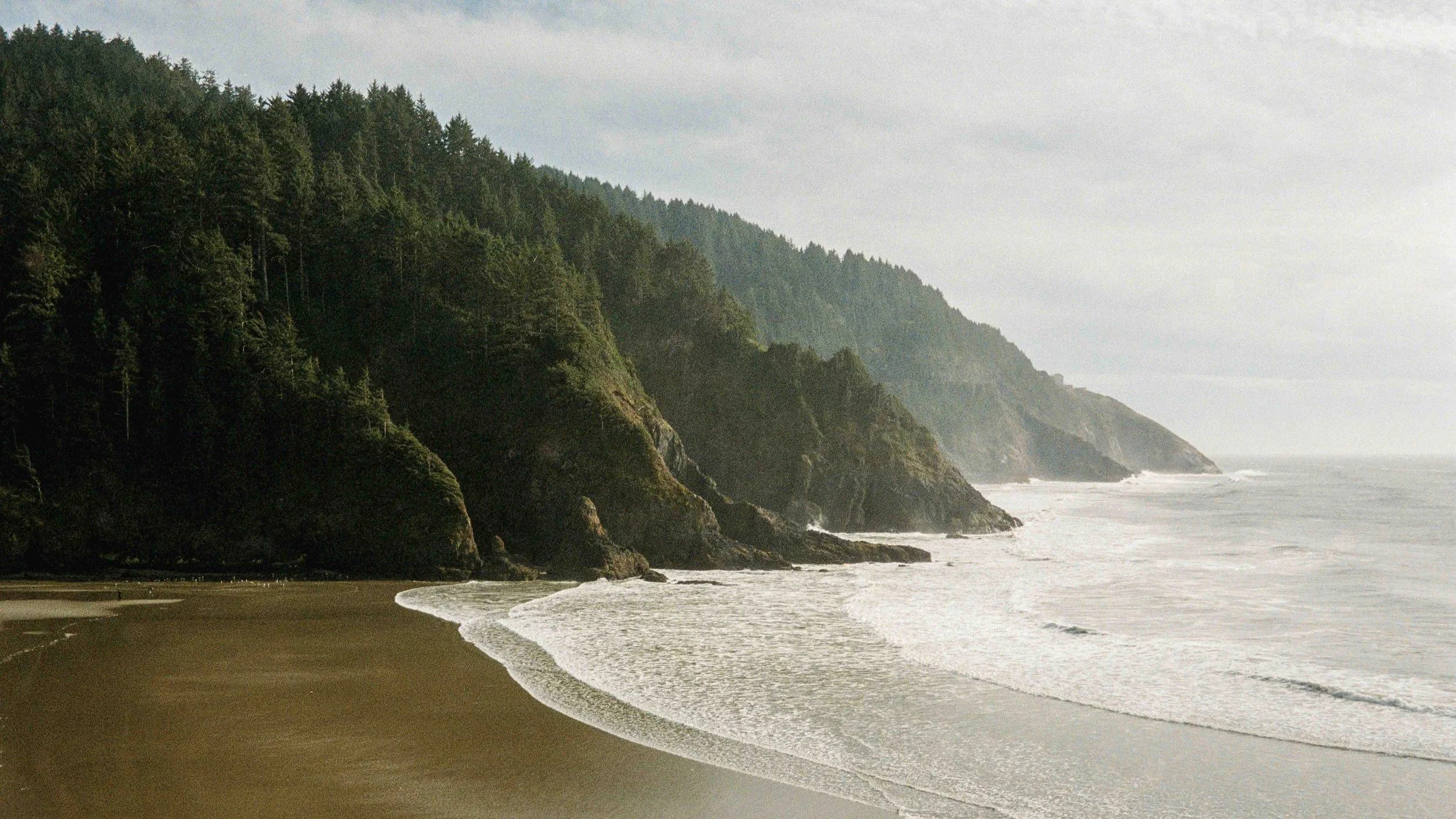 pnwbts--29.jpg