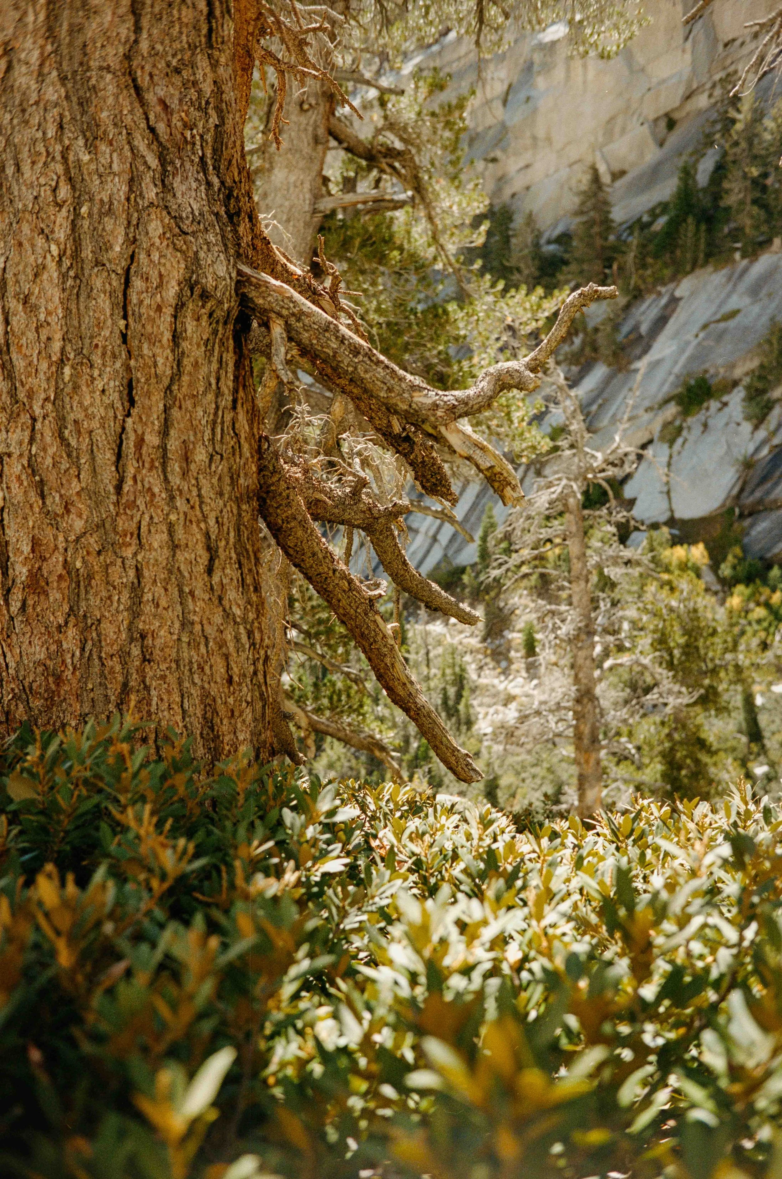whitney export--100.jpg