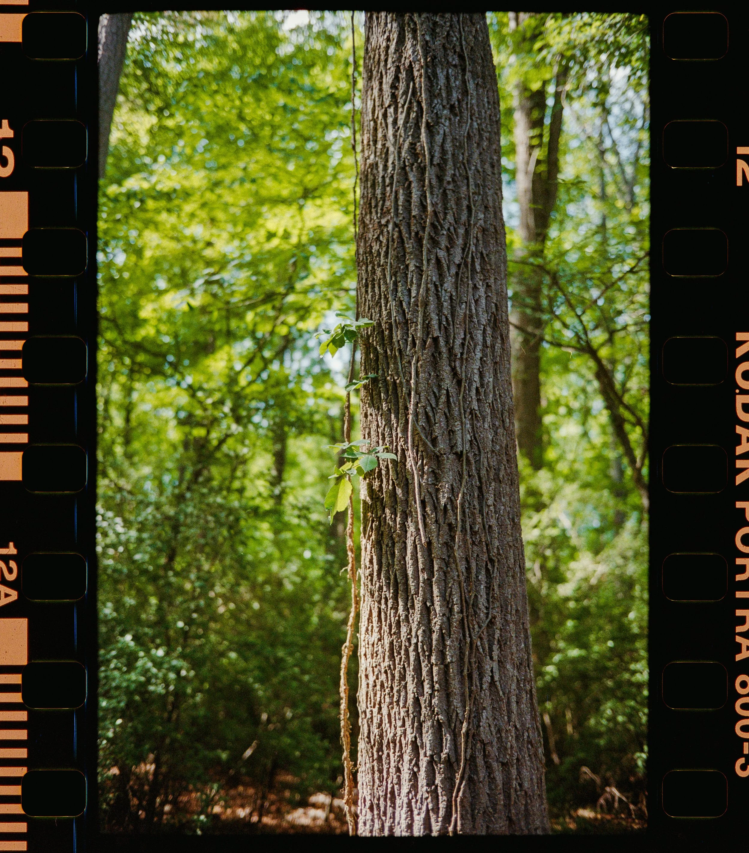 2026_05_01_TLC_4x4--14.jpg