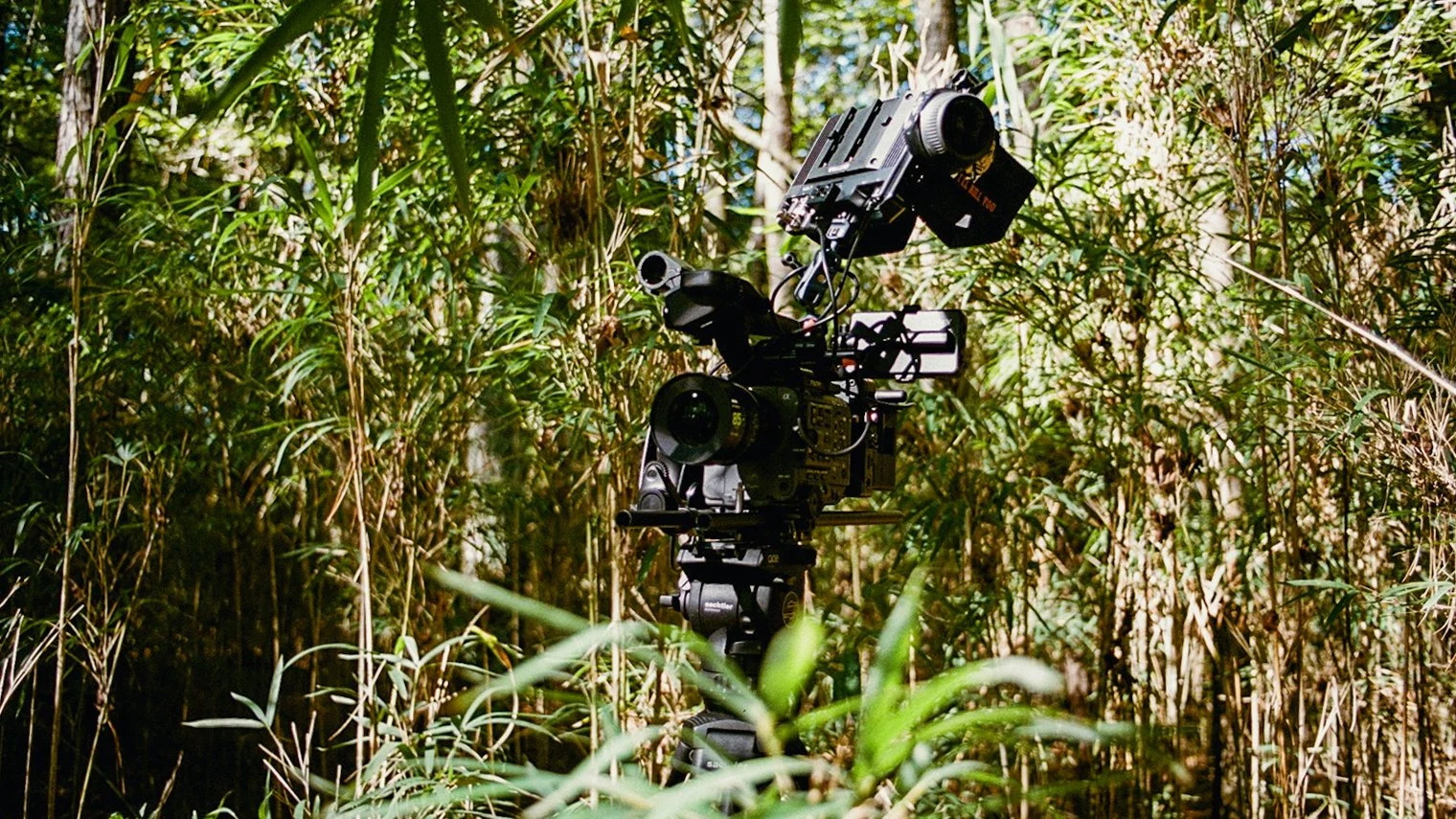 bts post-000186510016.jpg