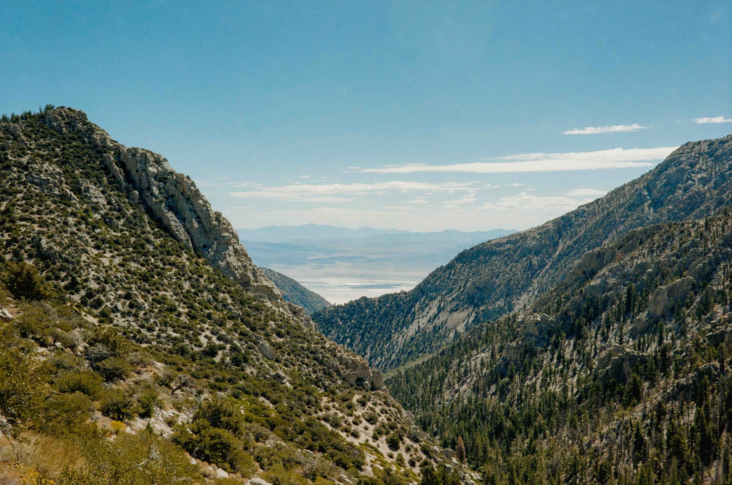 whitney export--58.jpg