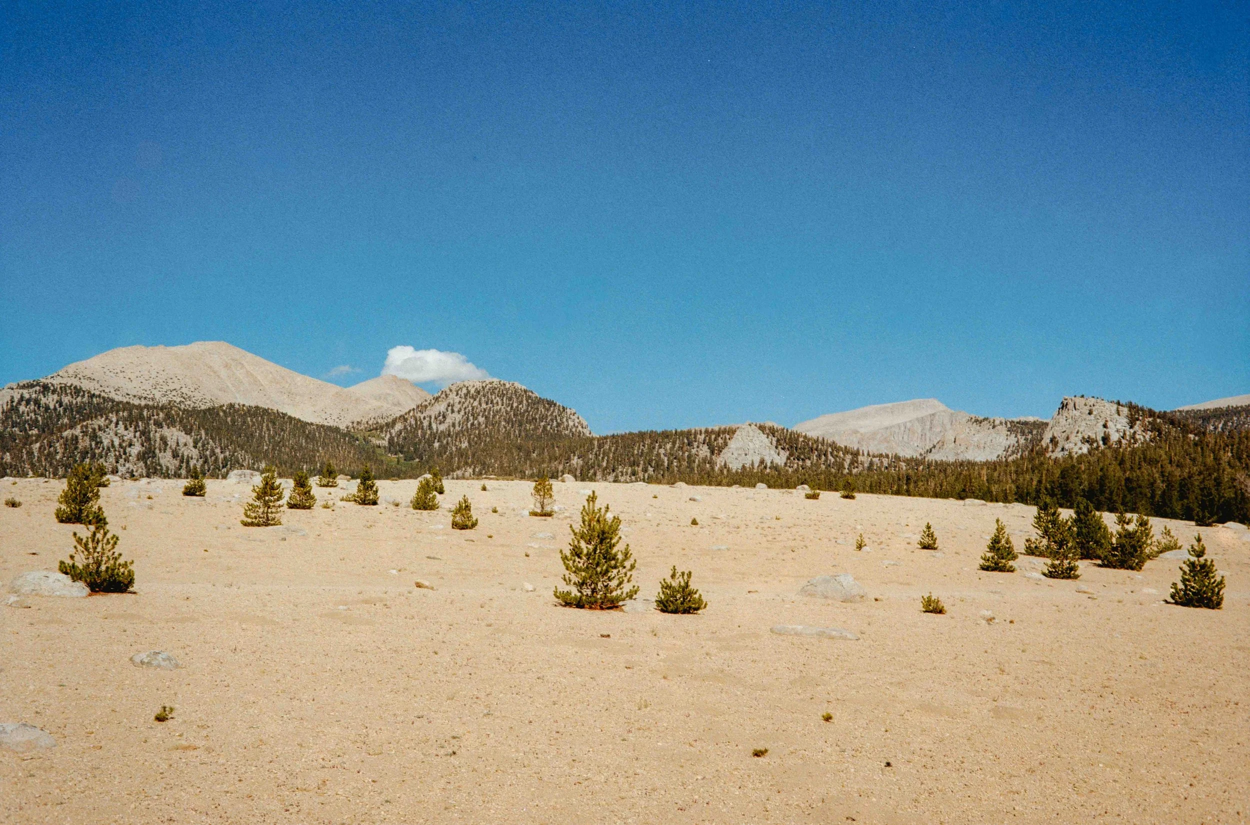 whitney export--55.jpg