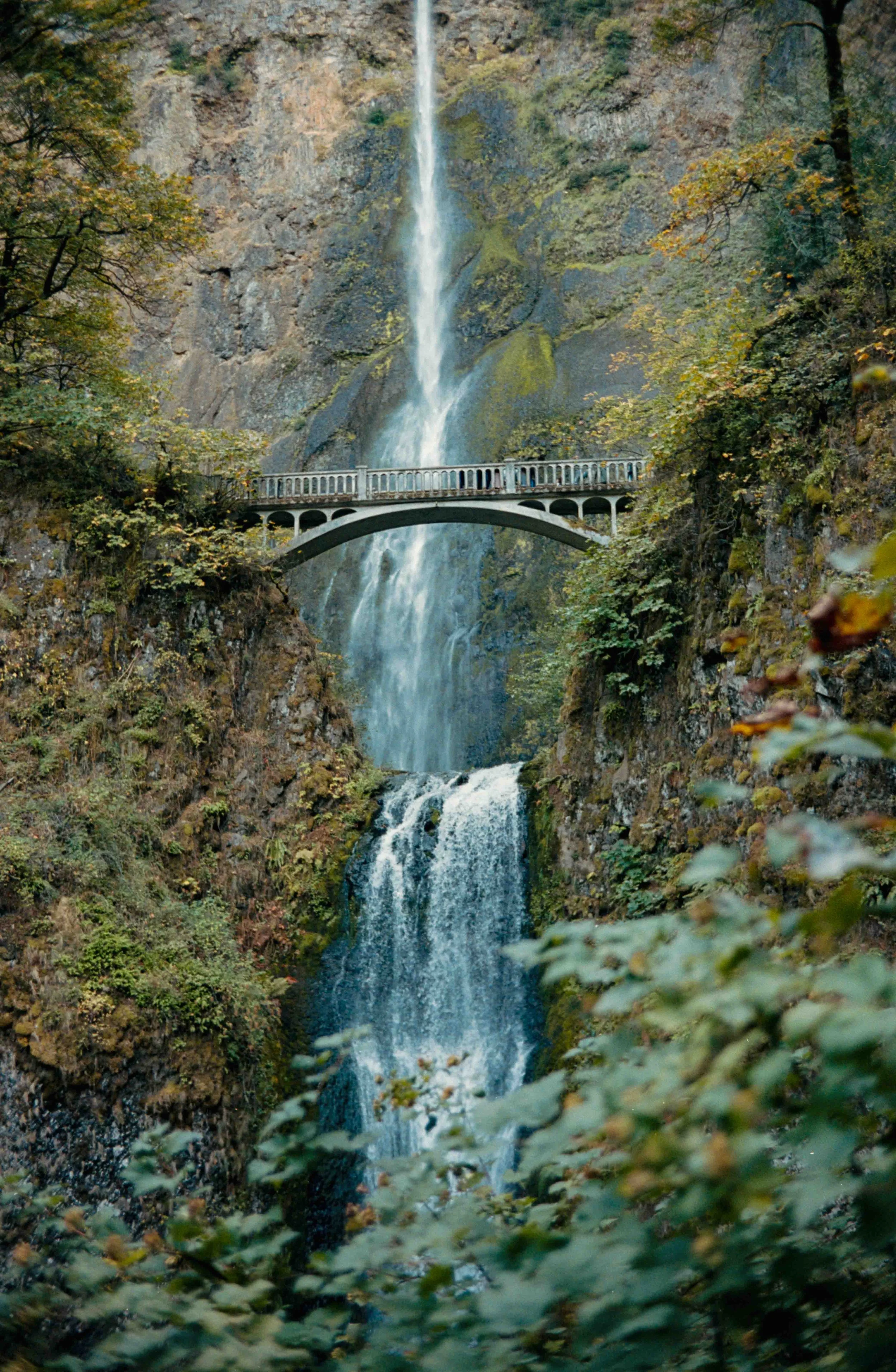pnwbts--59.jpg