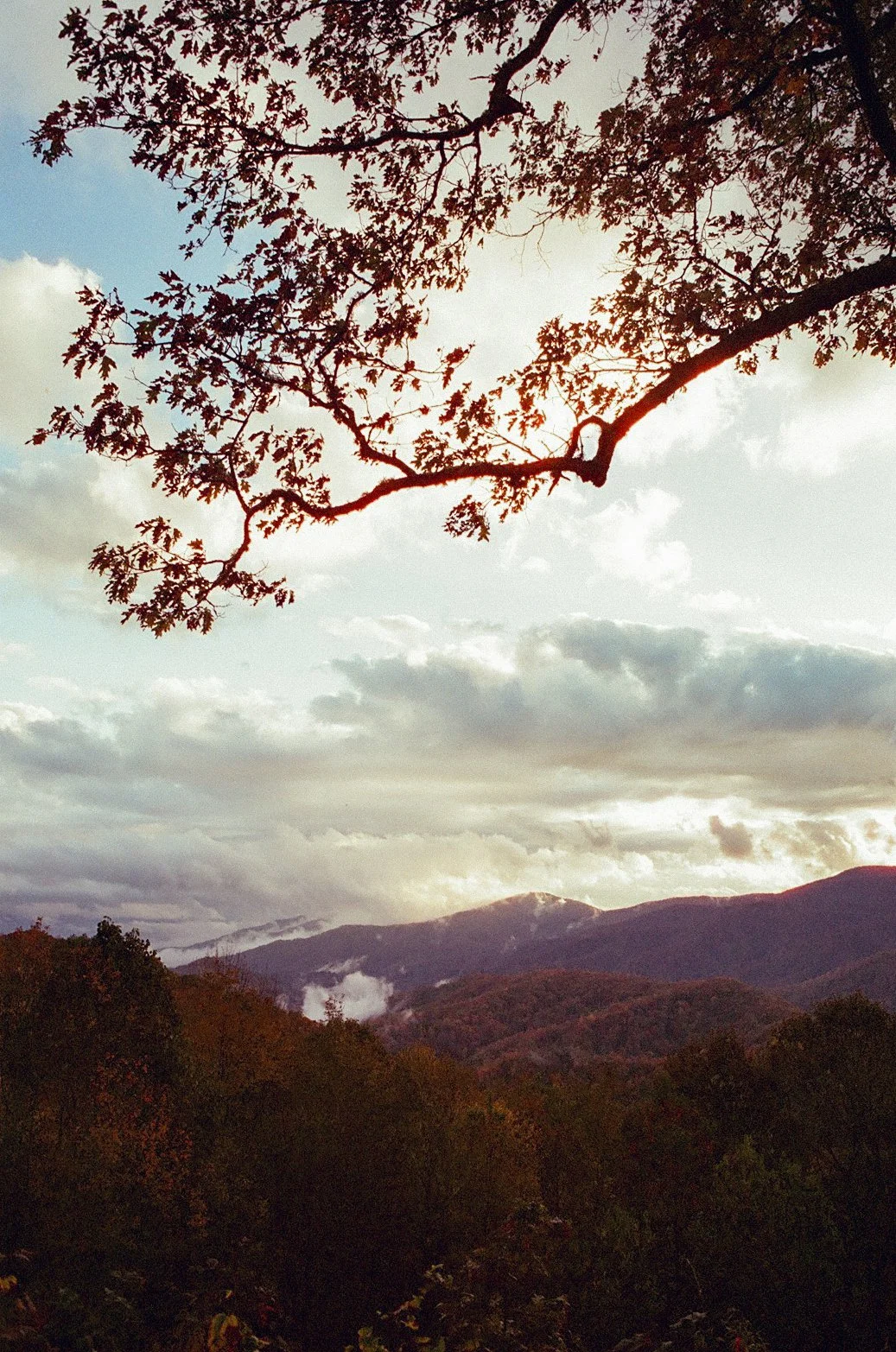 Fall Smoky-000198380001.jpg