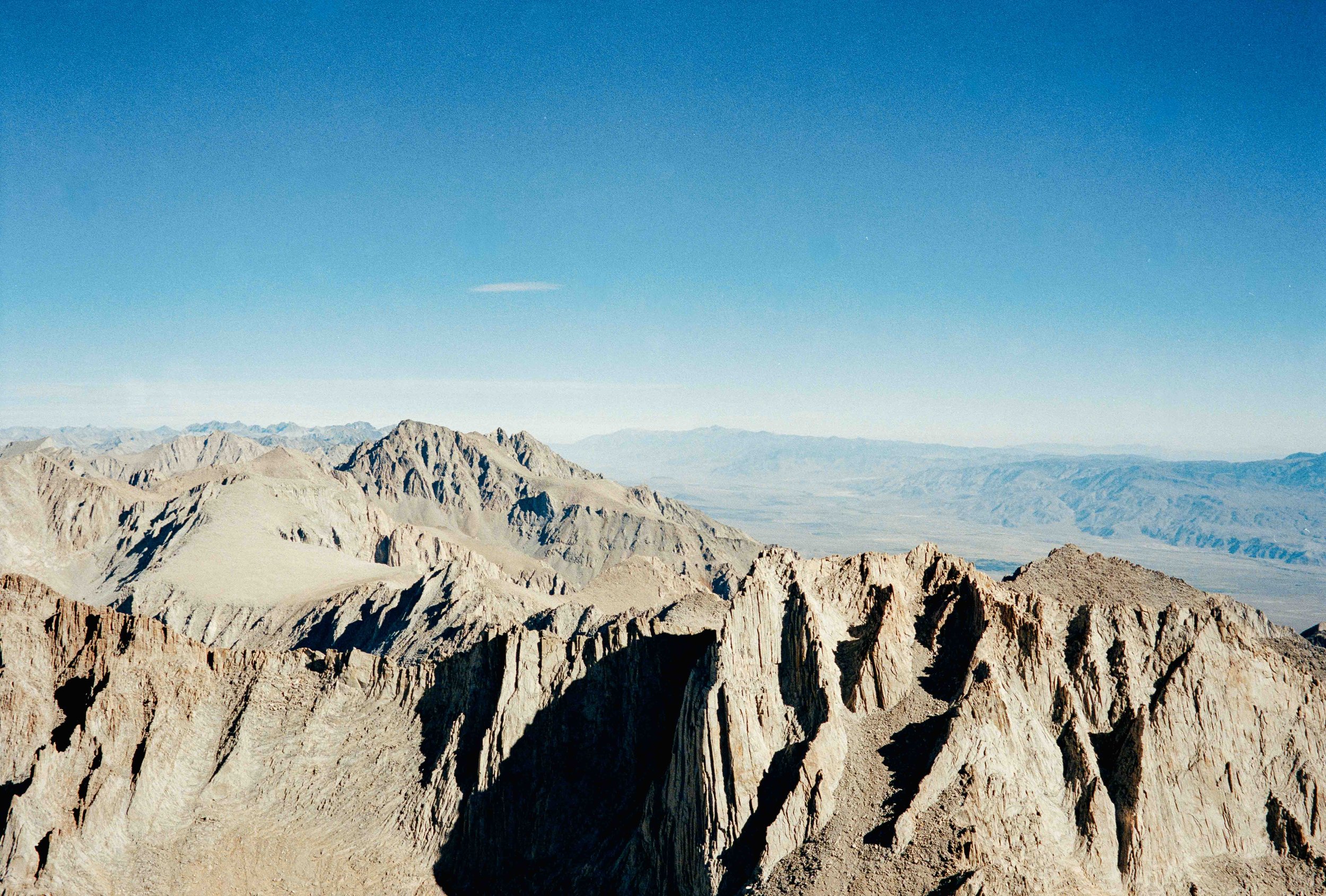 whitney export--138.jpg