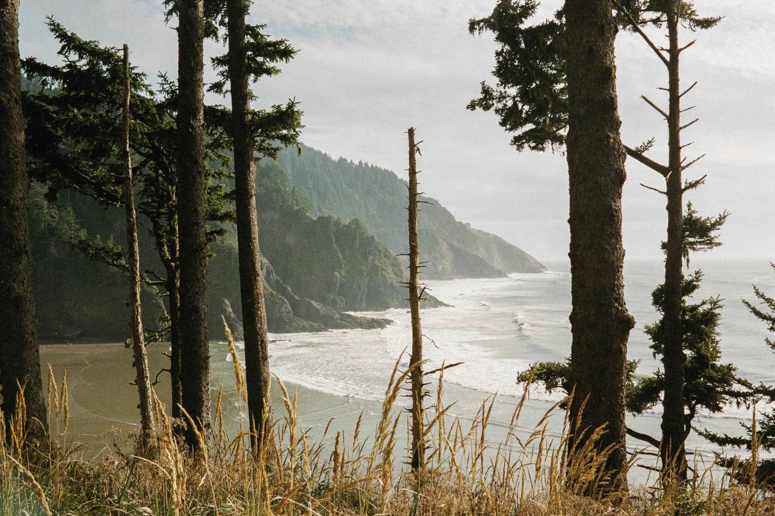pnwbts--27.jpg