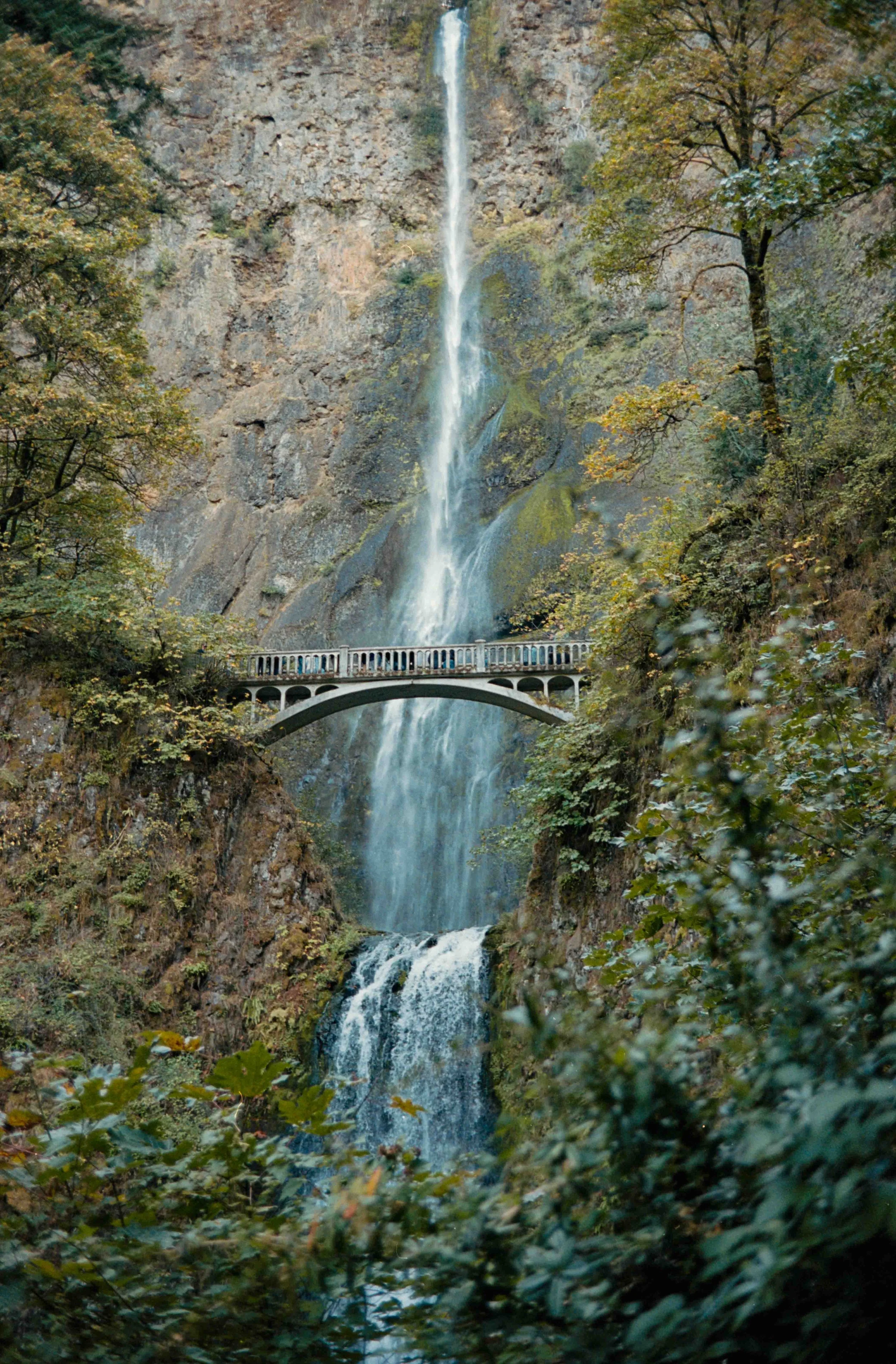pnwbts--58.jpg