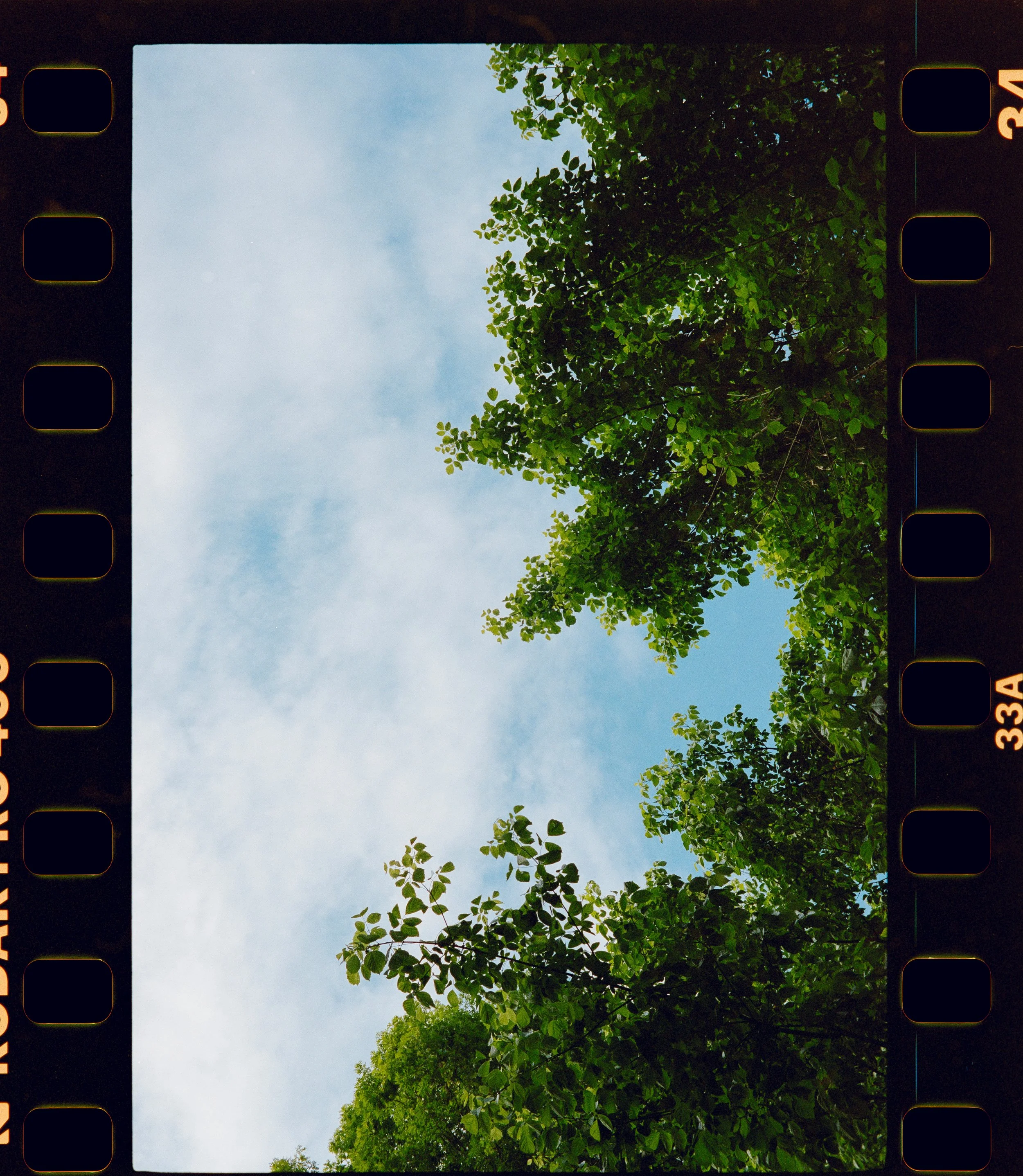 2026_05_01_TLC_4x4--132.jpg