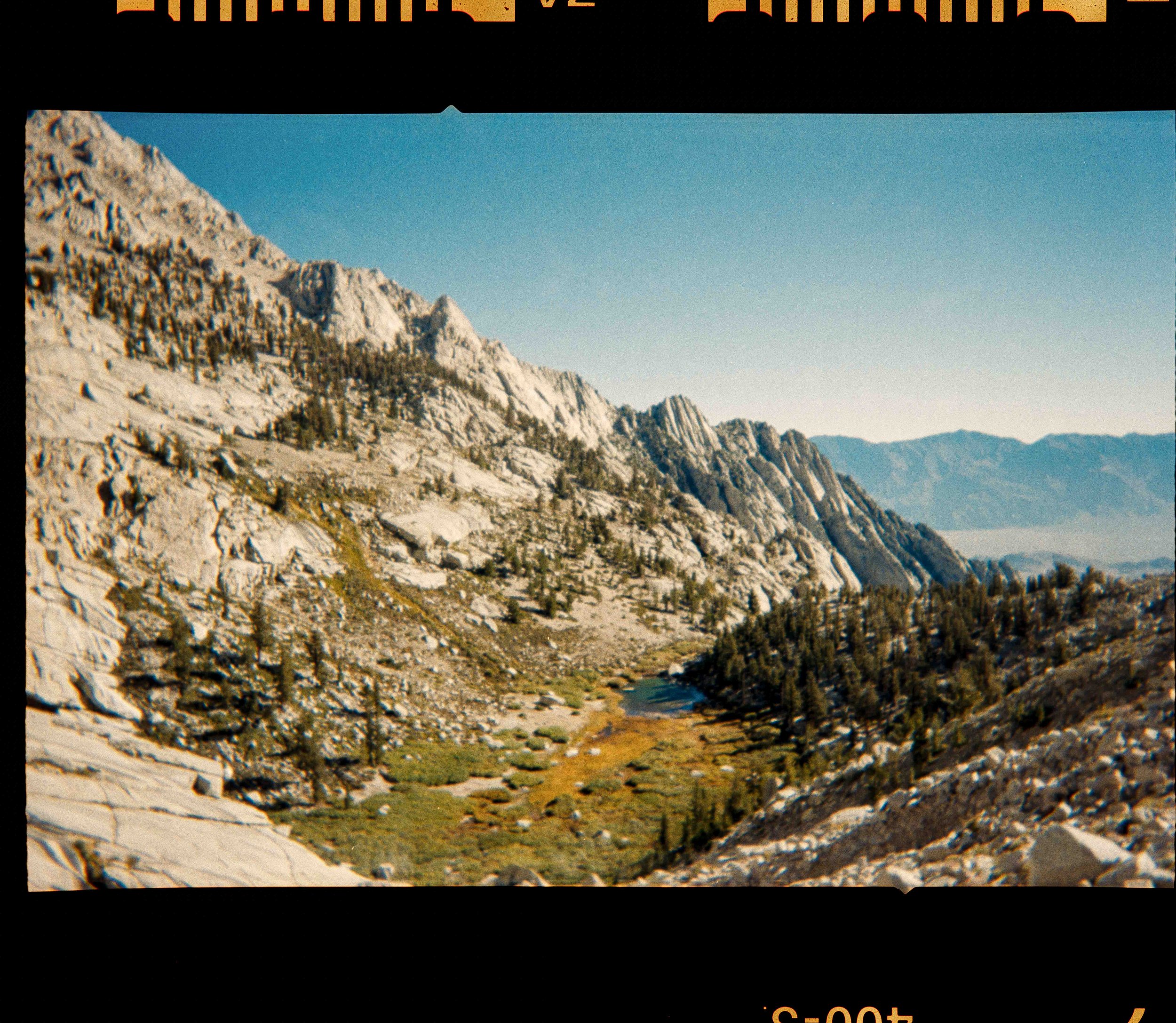 whitney export--5.jpg