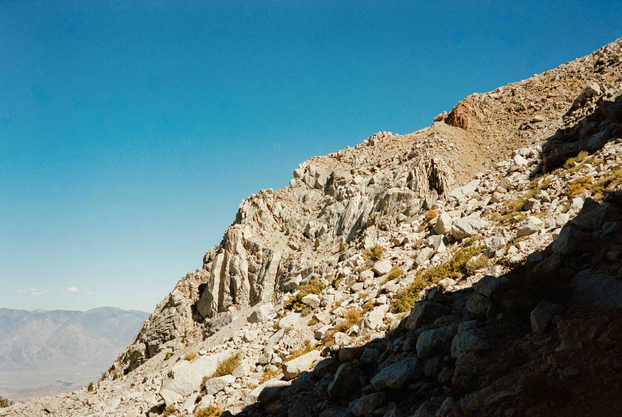 whitney export--122.jpg
