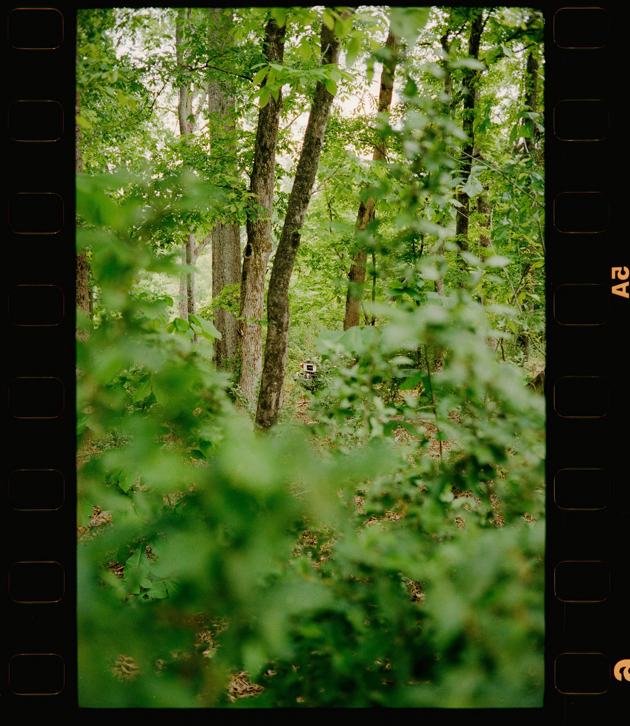 2026_05_01_TLC_4x4--109.jpg